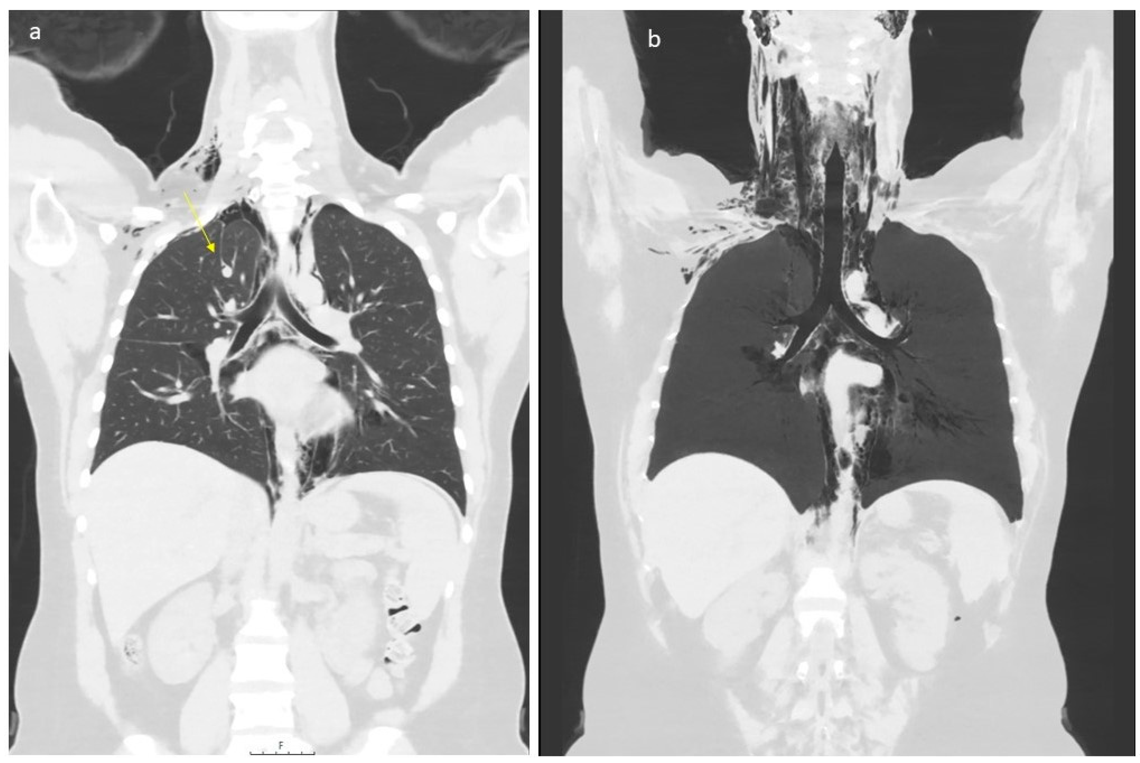 Preprints 104445 g002