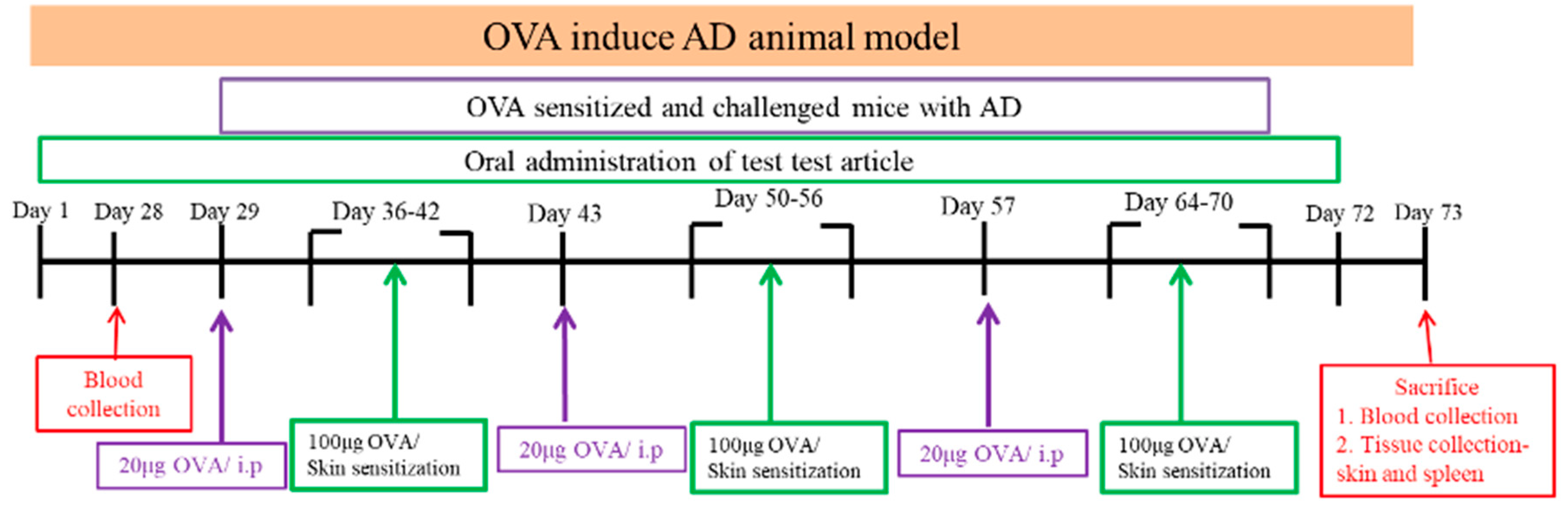 Preprints 171686 g001