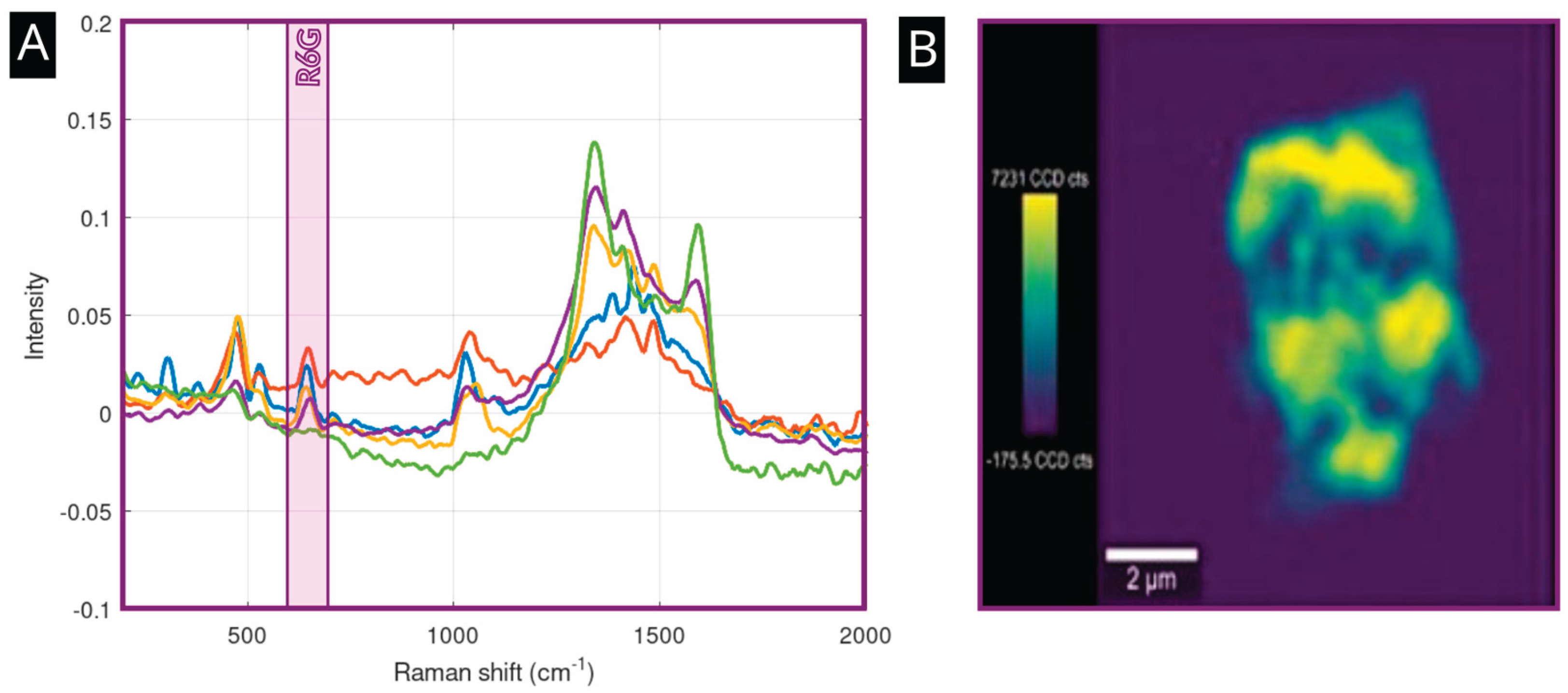 Preprints 192988 g003