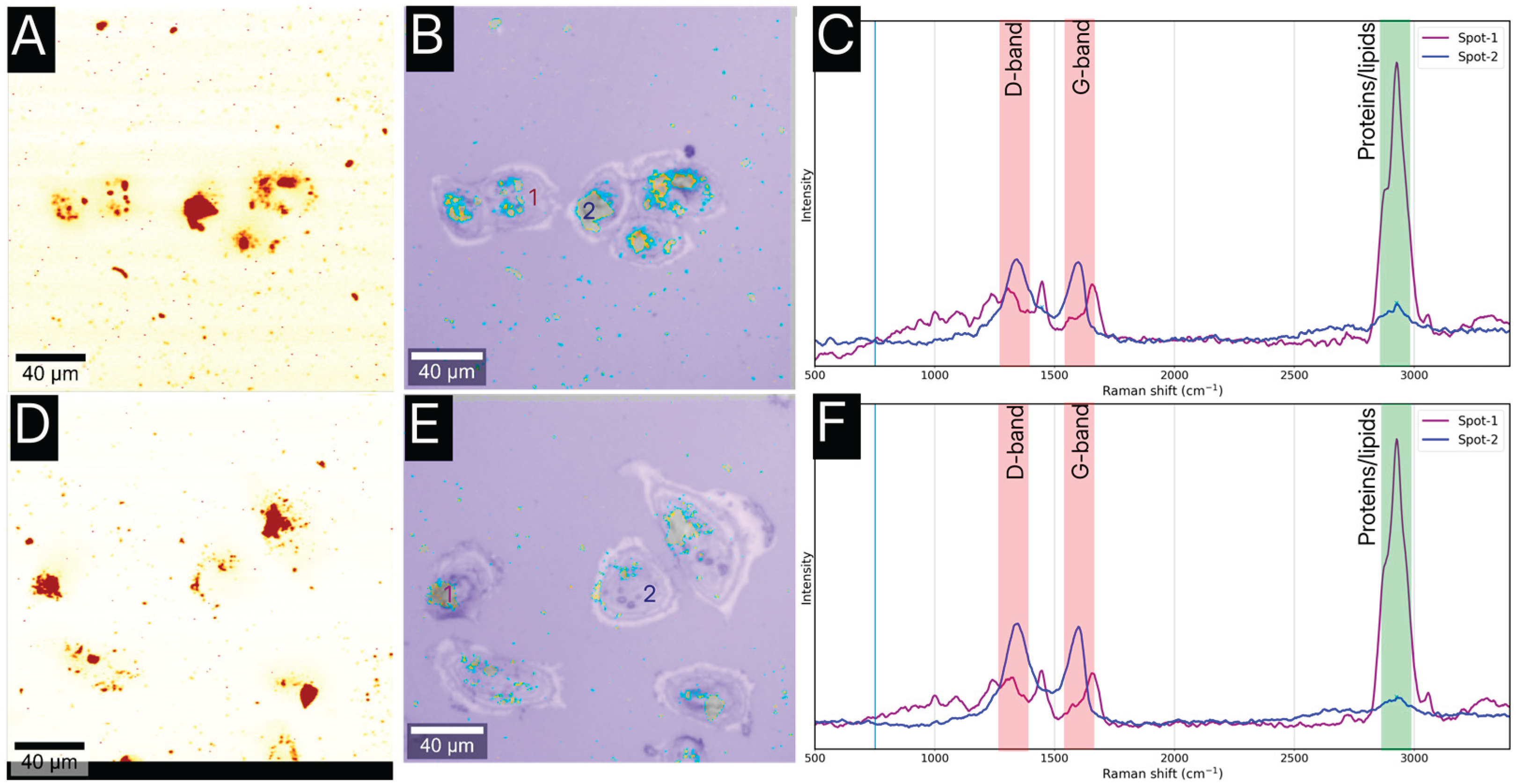 Preprints 192988 g006