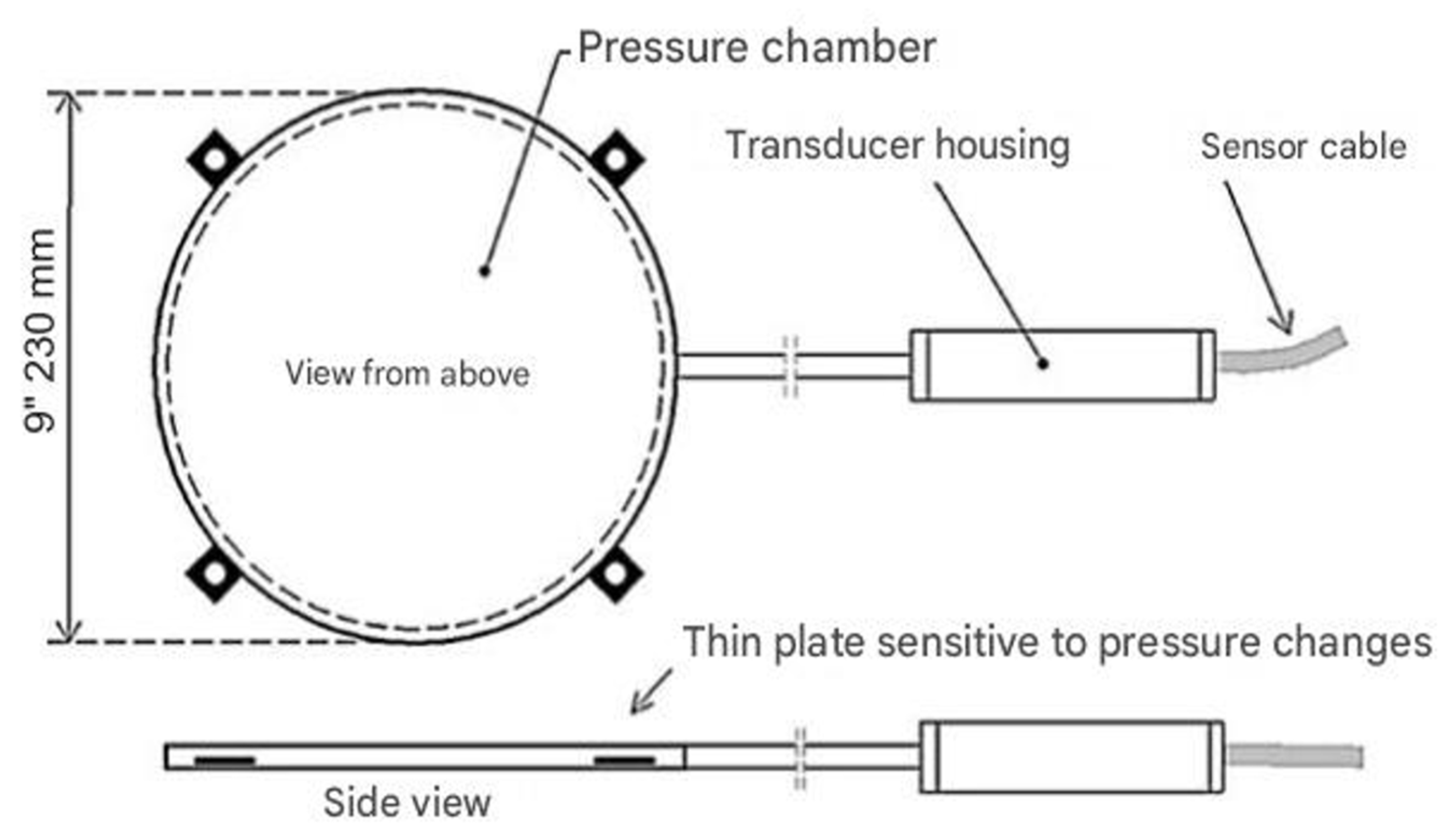 Preprints 153948 g006