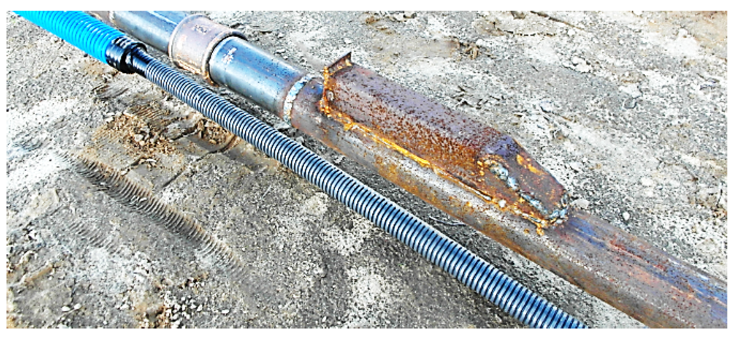 Preprints 153948 g012