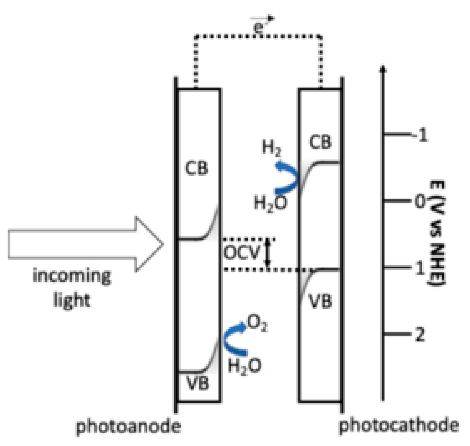 Preprints 147482 g001