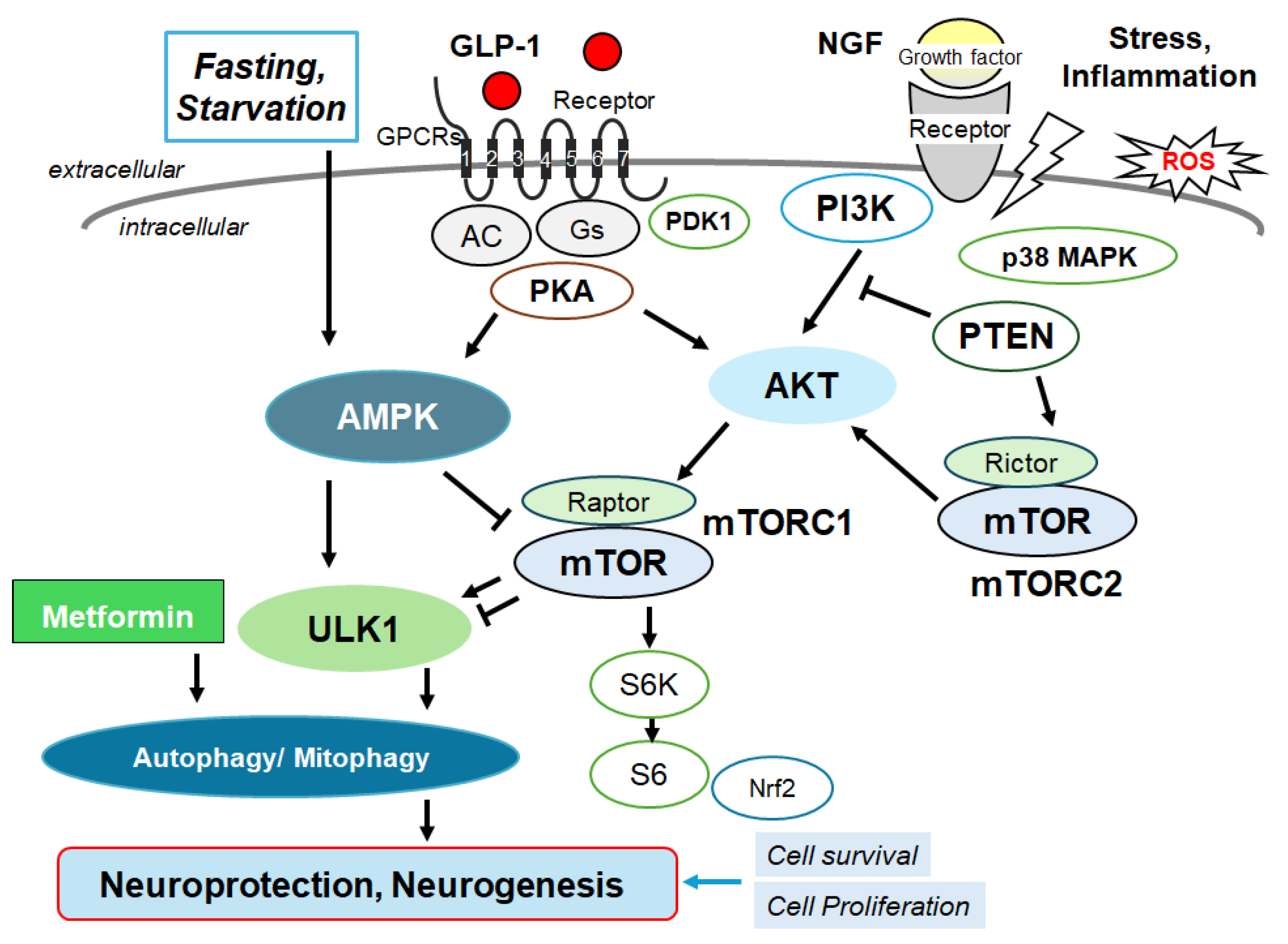 Preprints 113136 g002