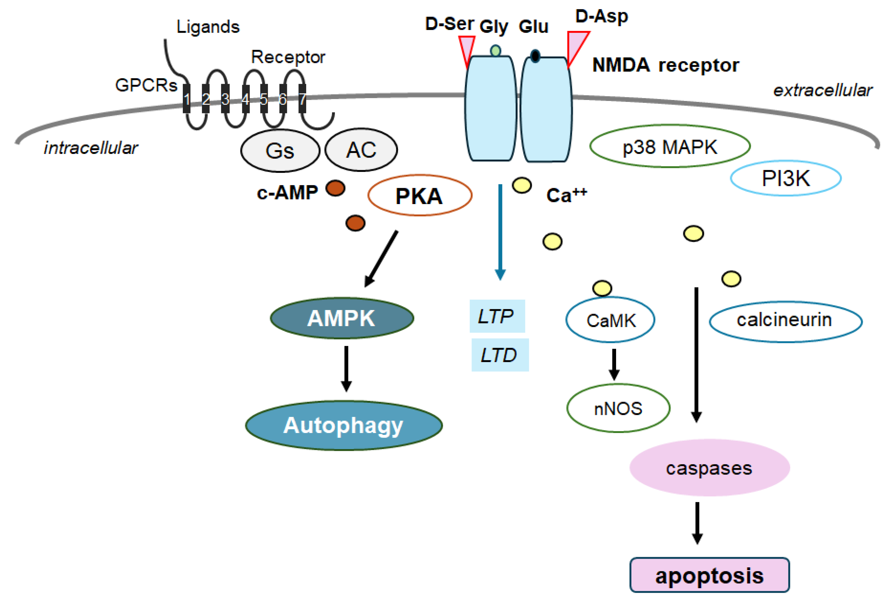 Preprints 113136 g003