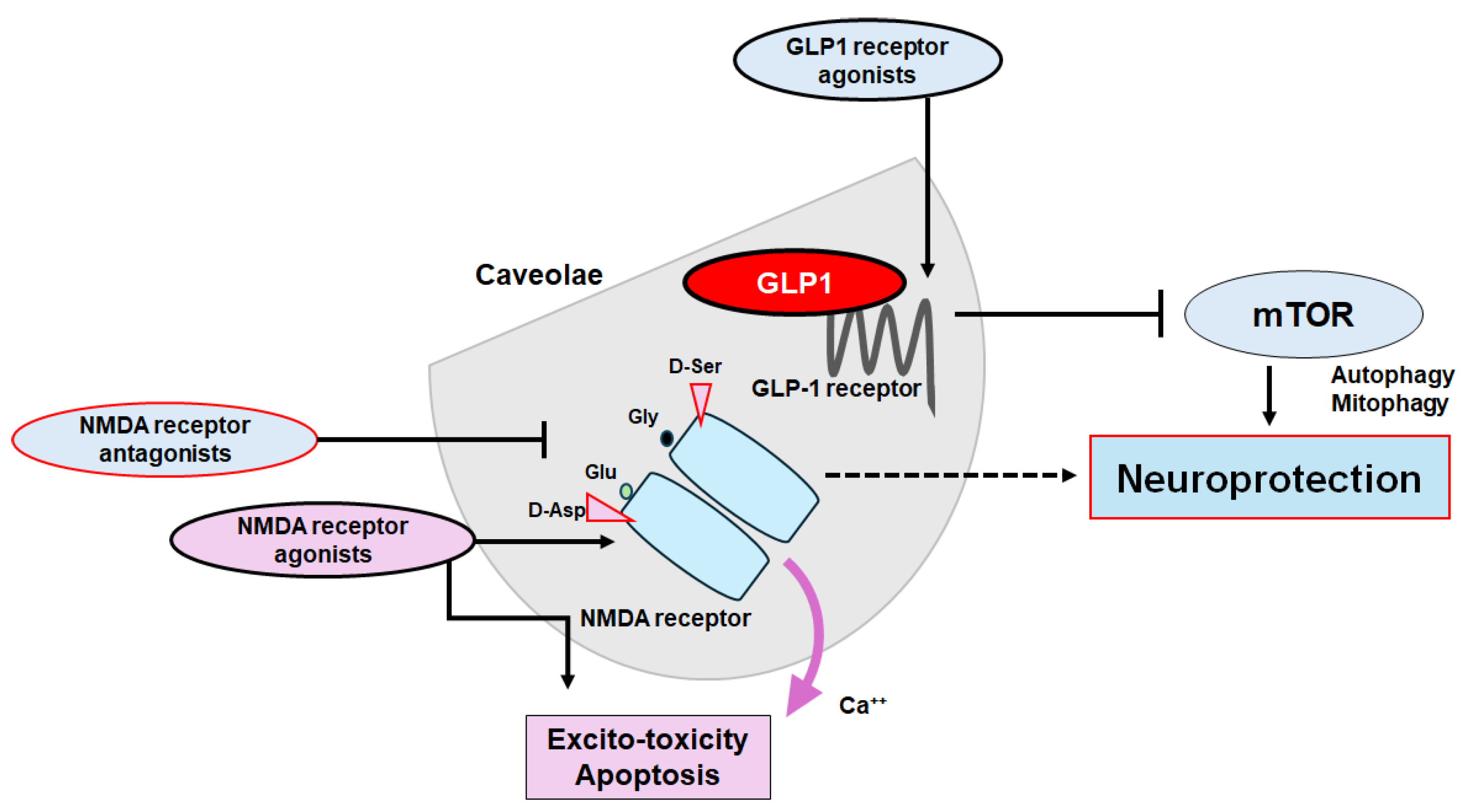 Preprints 113136 g004