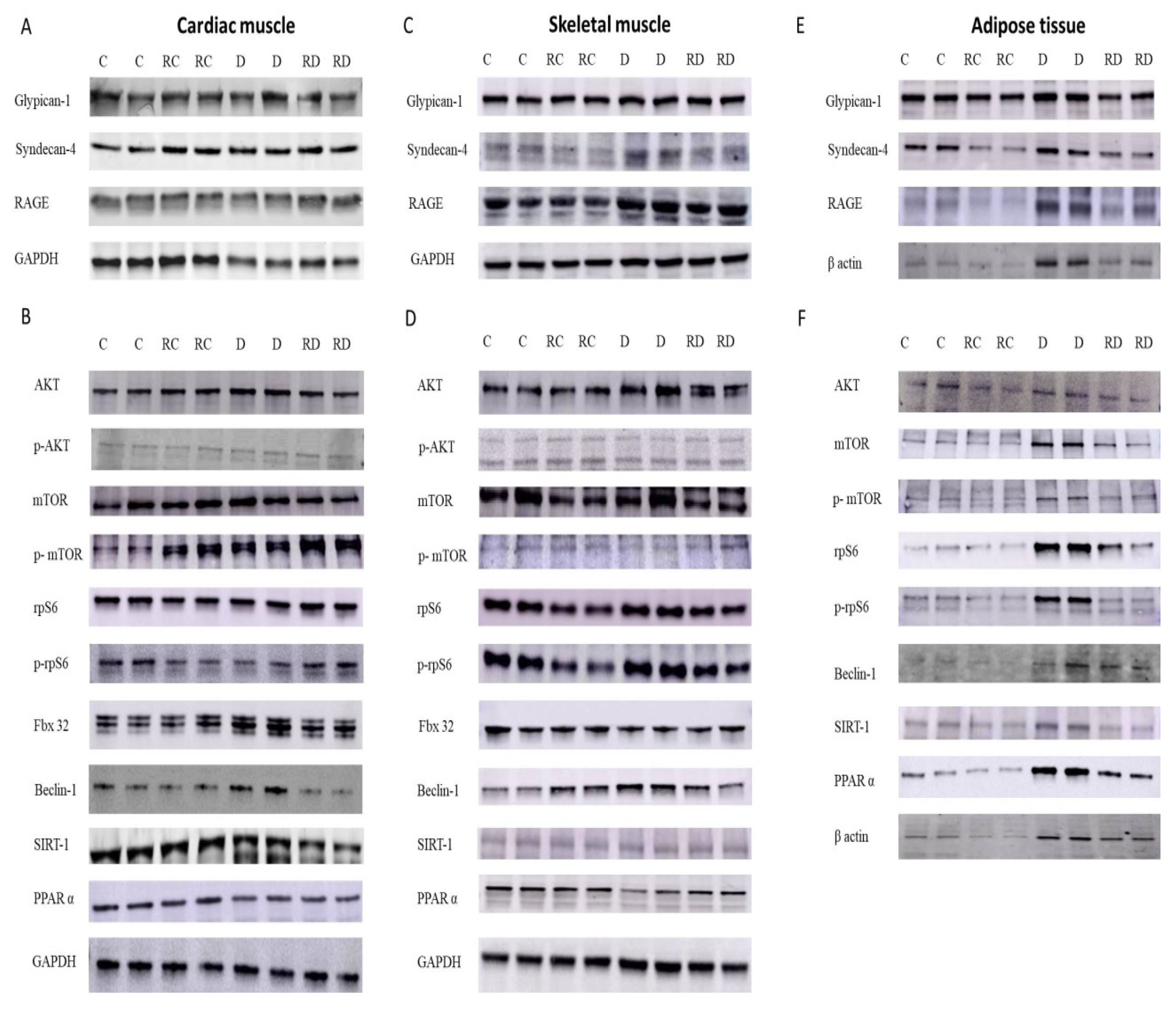 Preprints 145836 g001
