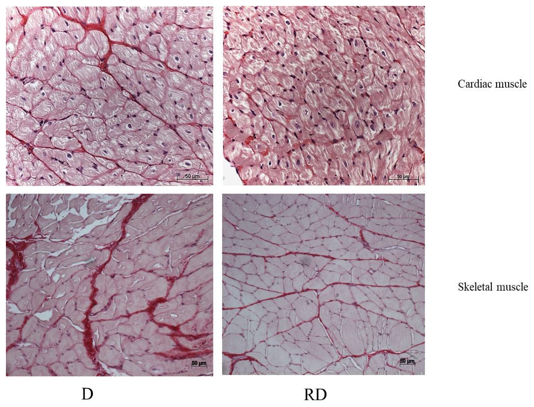 Preprints 145836 g002
