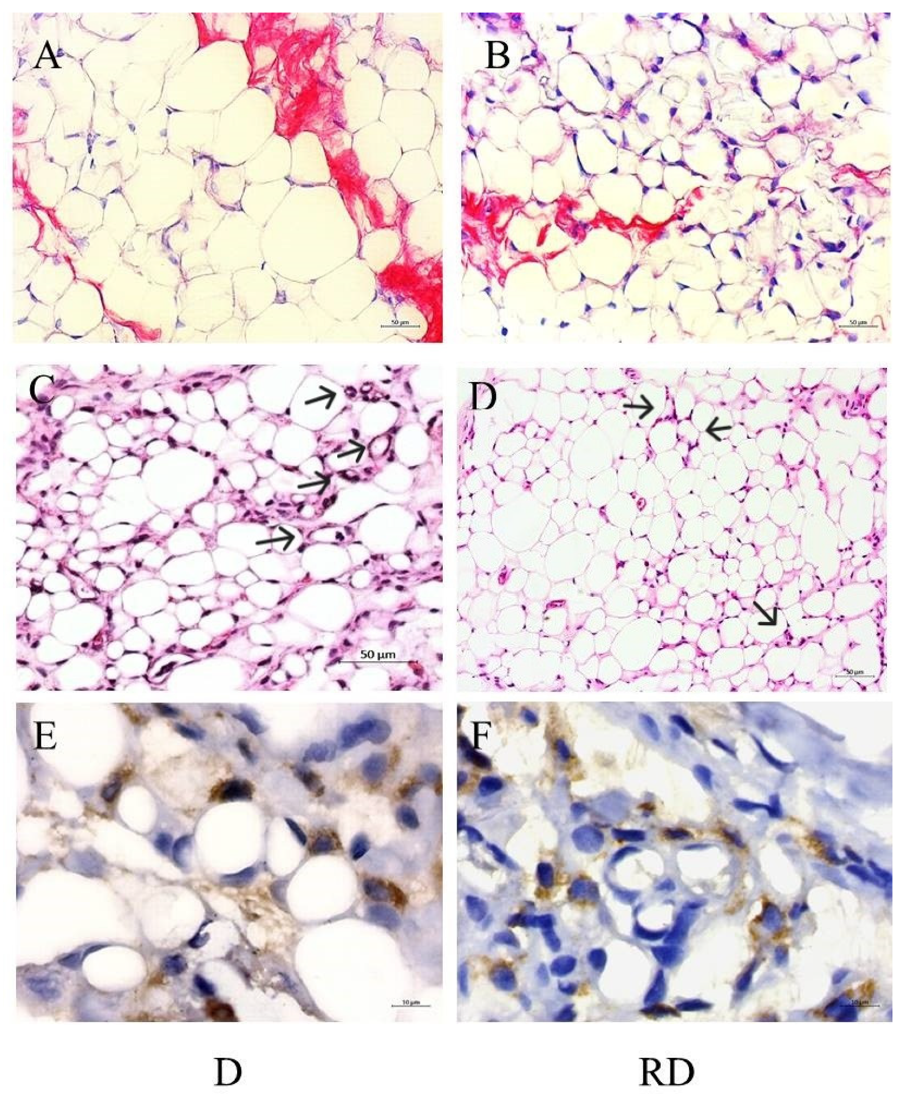Preprints 145836 g004