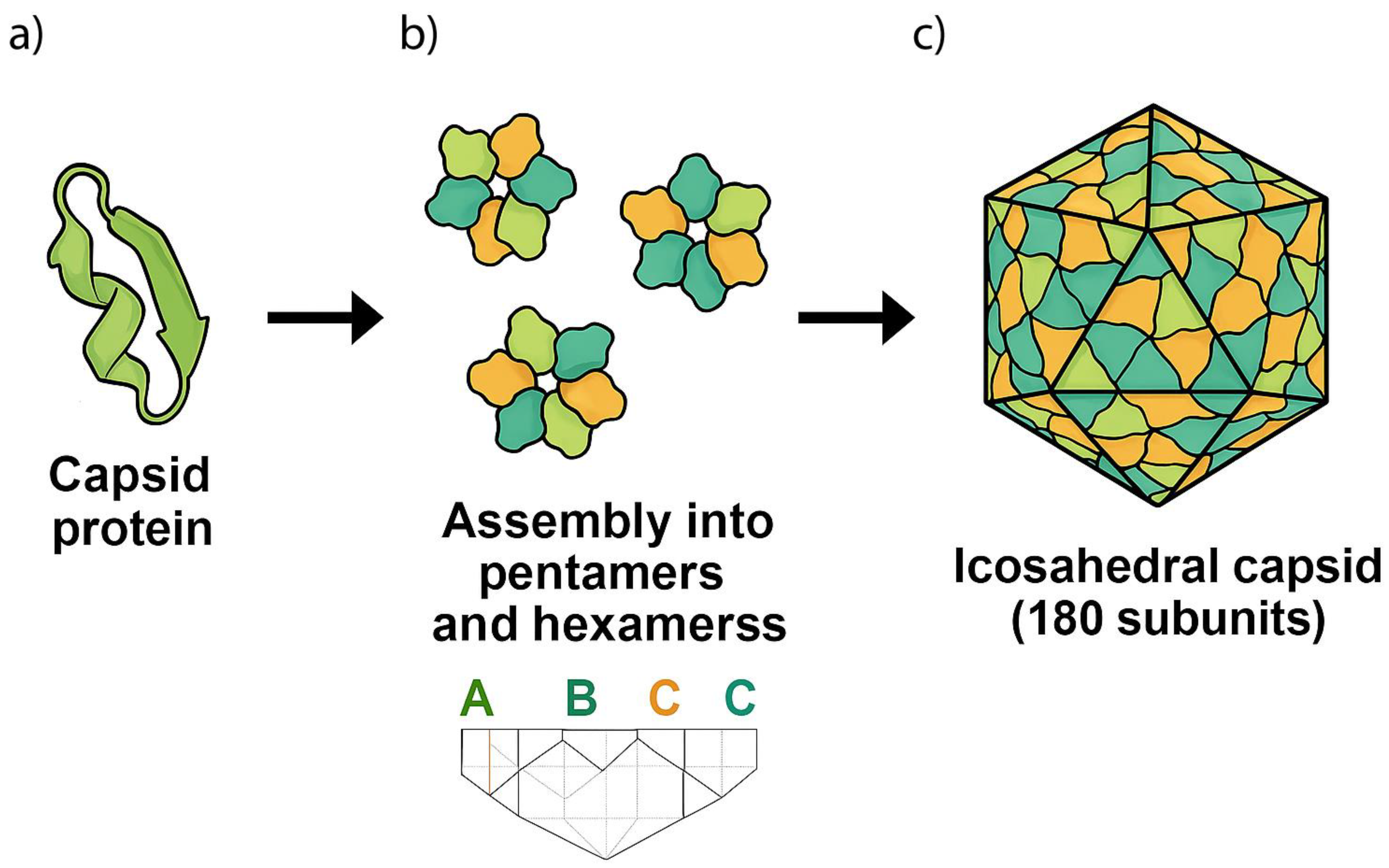 Preprints 159383 g001