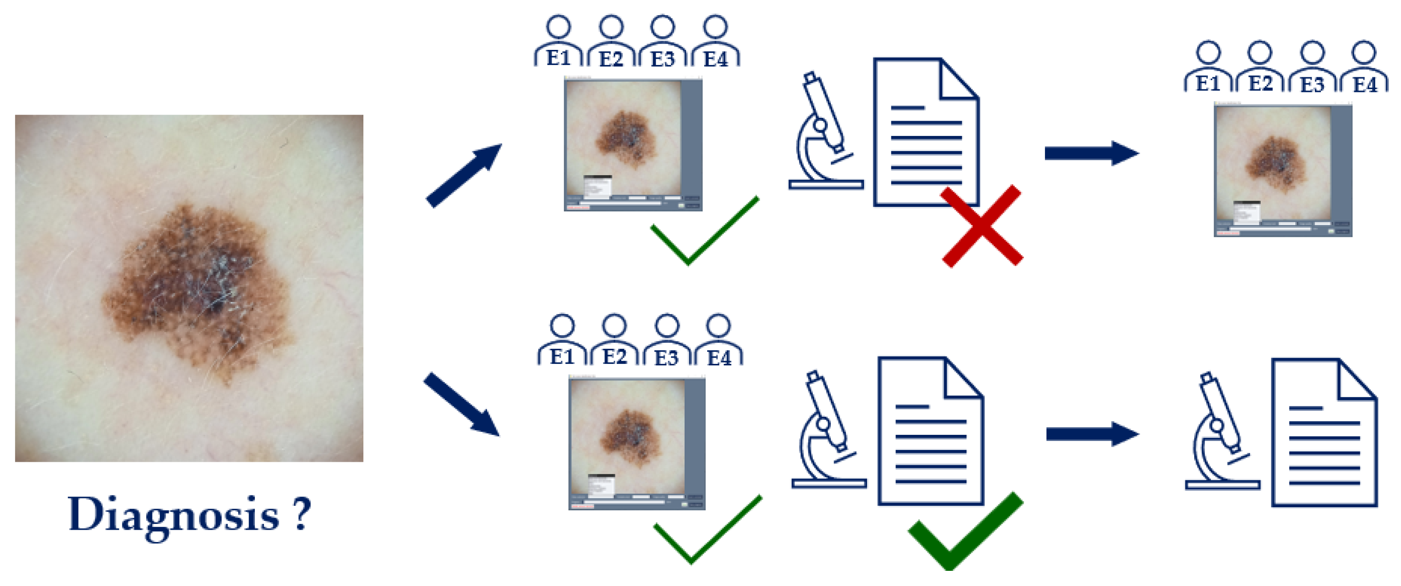 Preprints 175472 g006