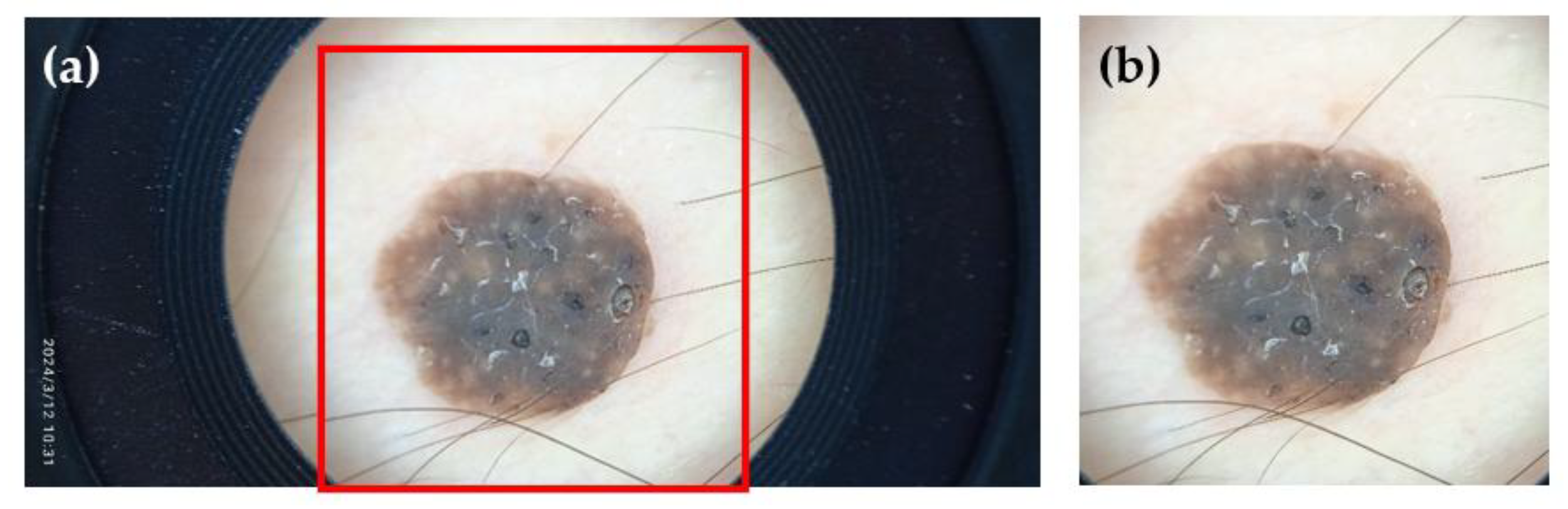 Preprints 175472 g008