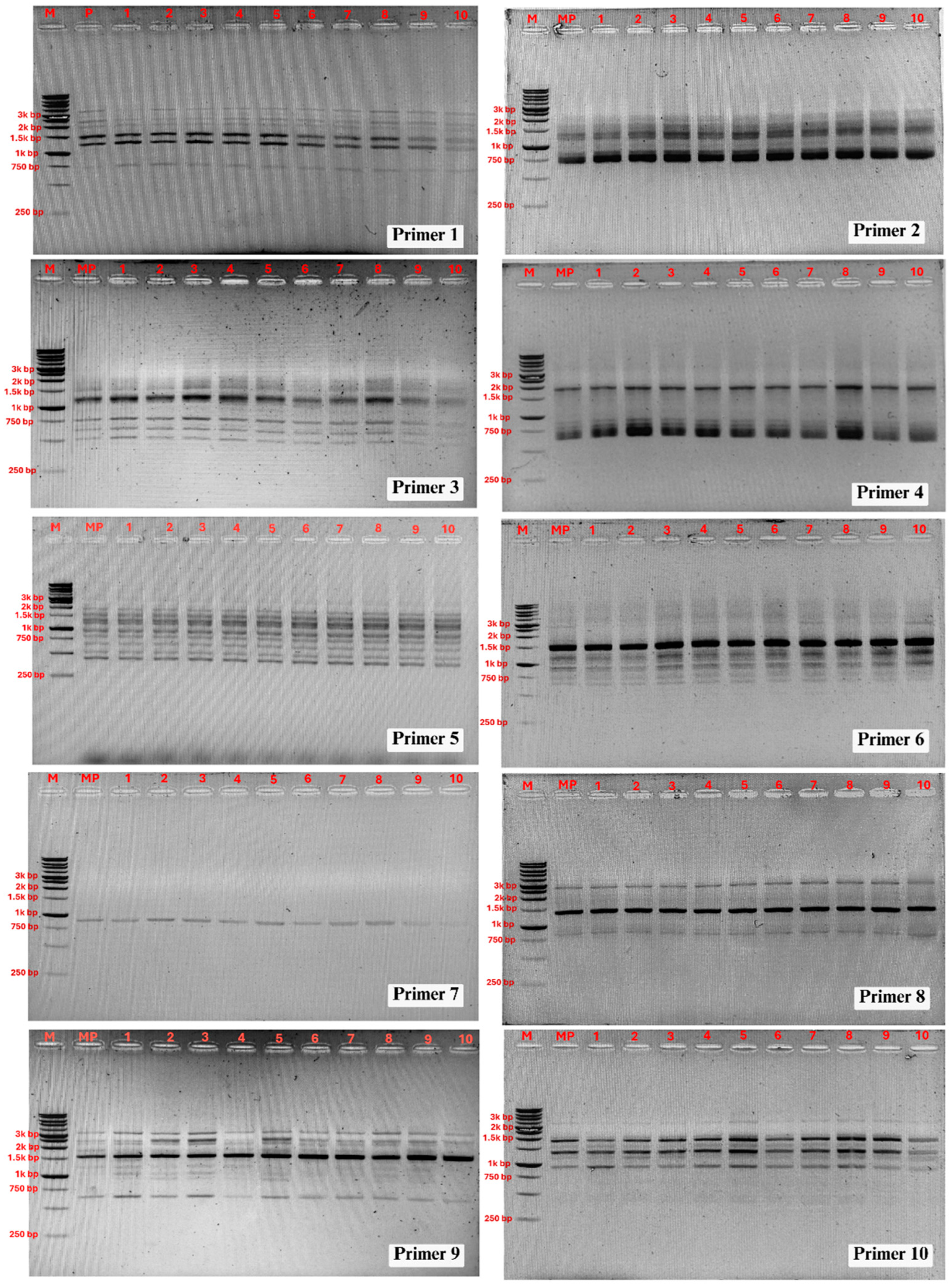 Preprints 171532 g004