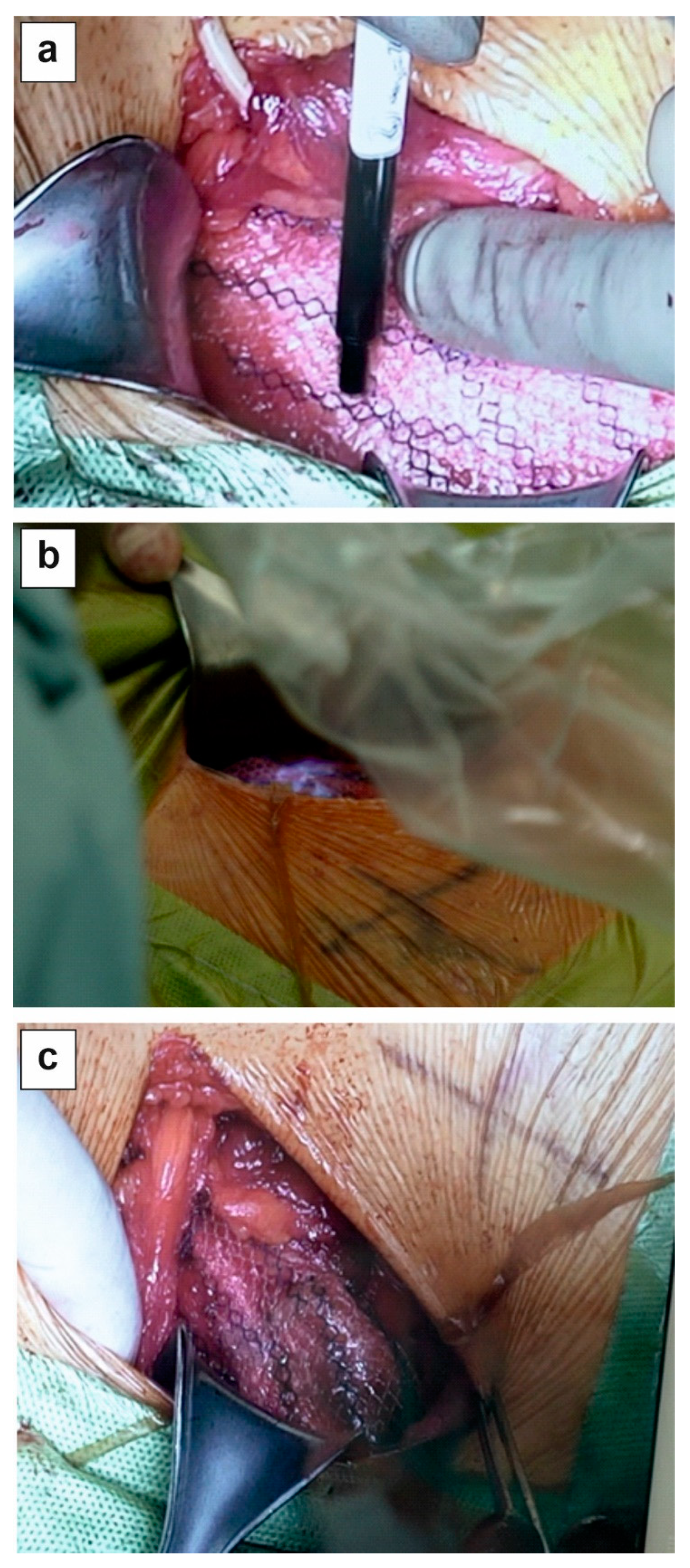 Preprints 142642 g001