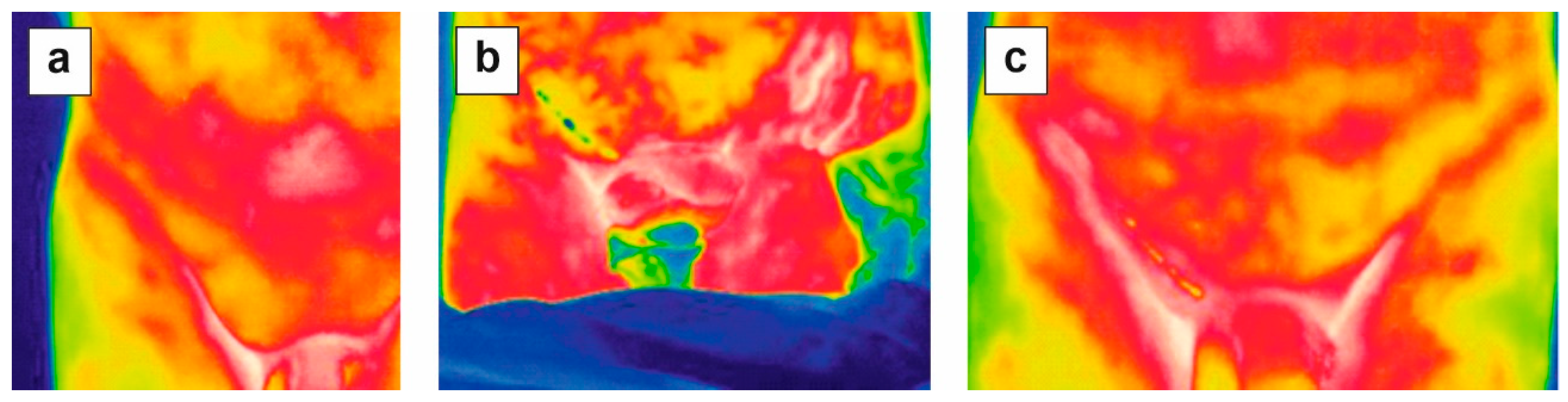 Preprints 142642 g002