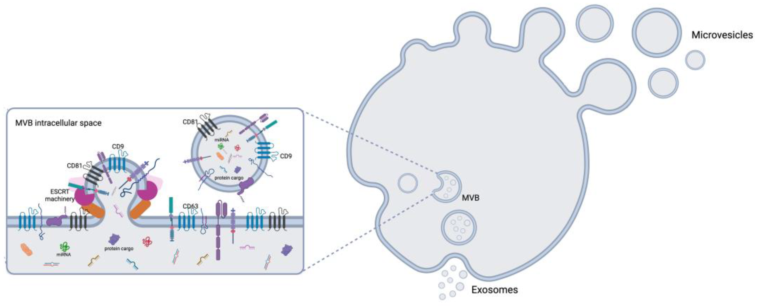 Preprints 148120 g001