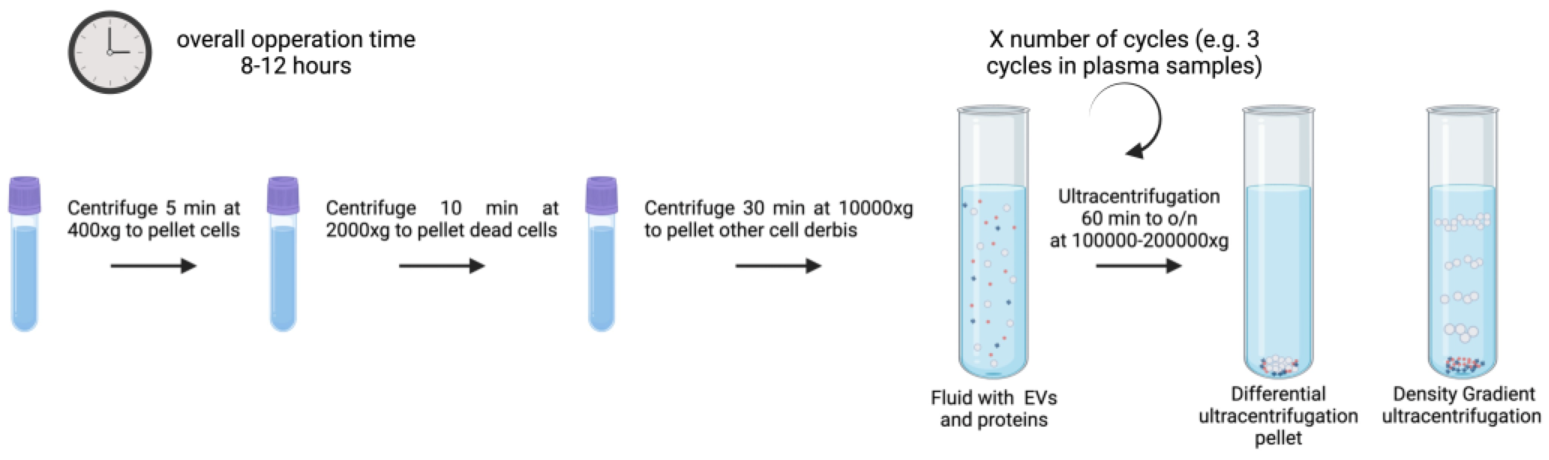 Preprints 148120 g002