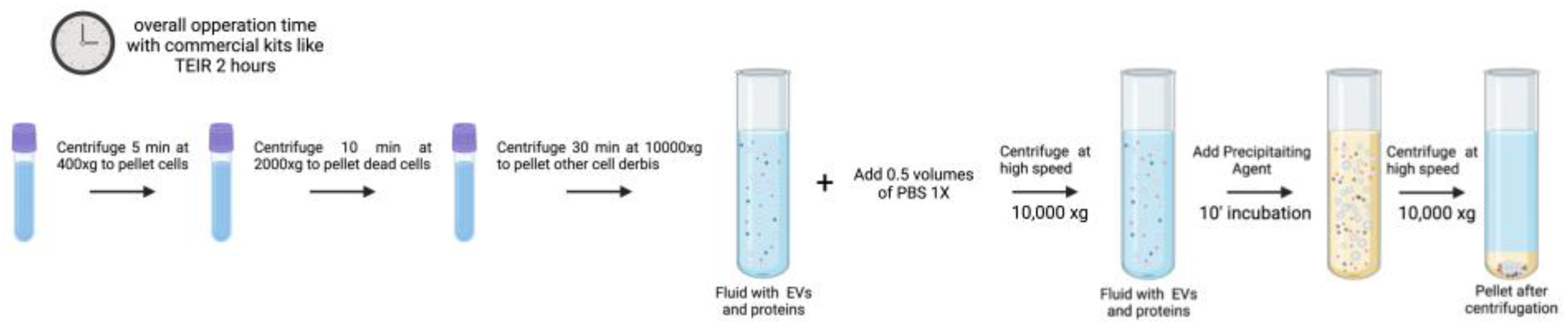 Preprints 148120 g003