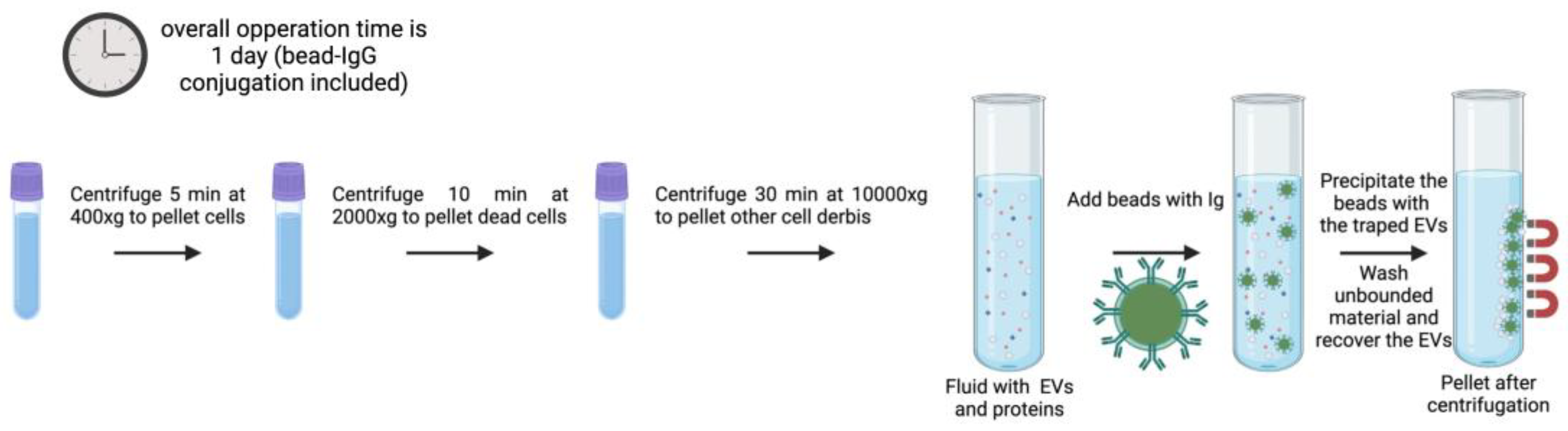 Preprints 148120 g004