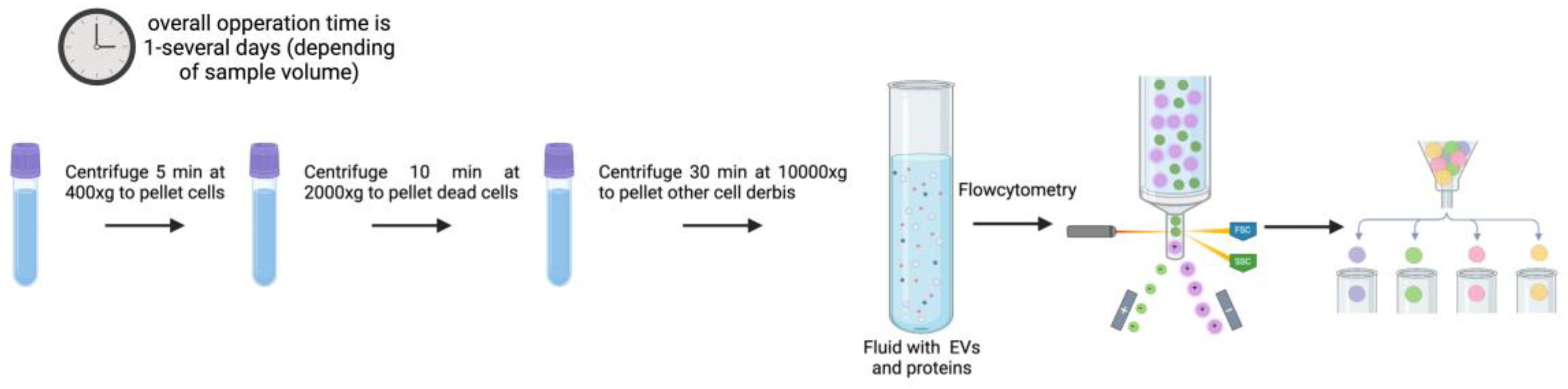 Preprints 148120 g005