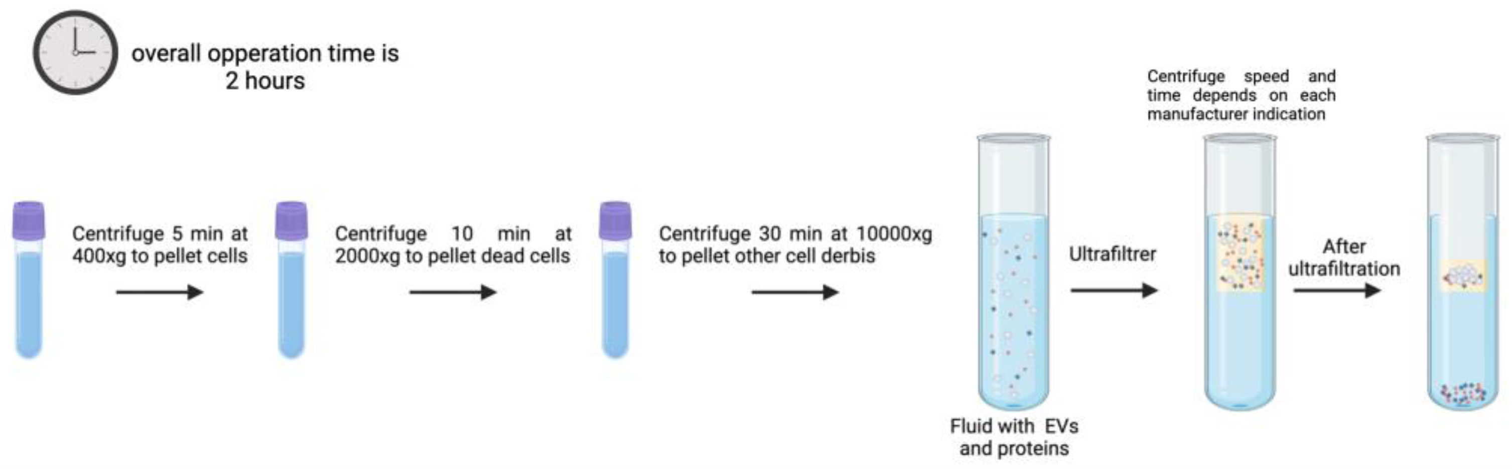 Preprints 148120 g006