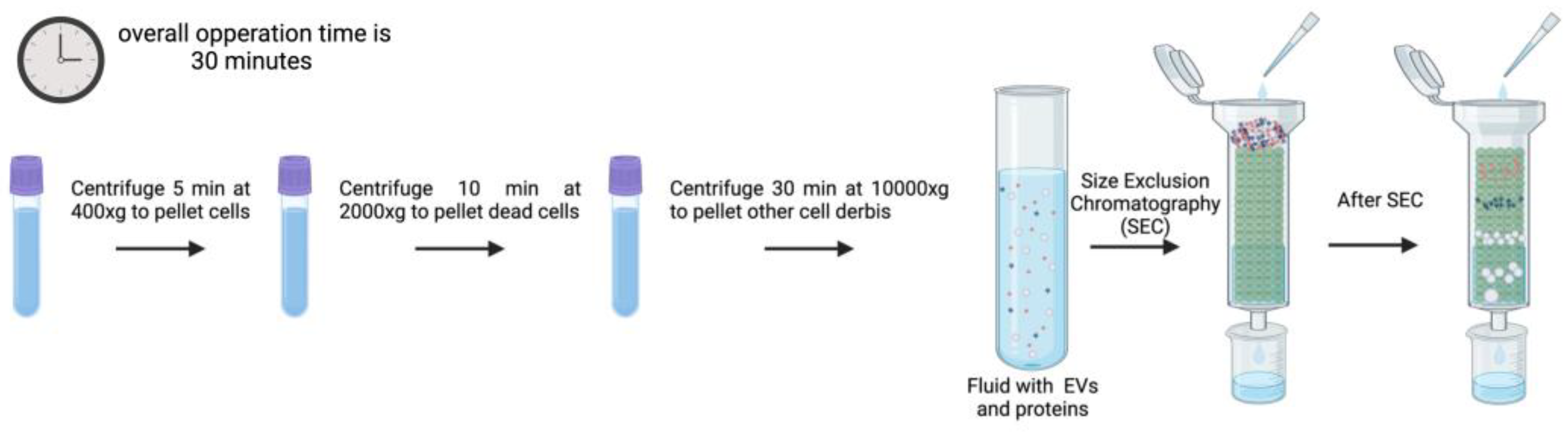 Preprints 148120 g007