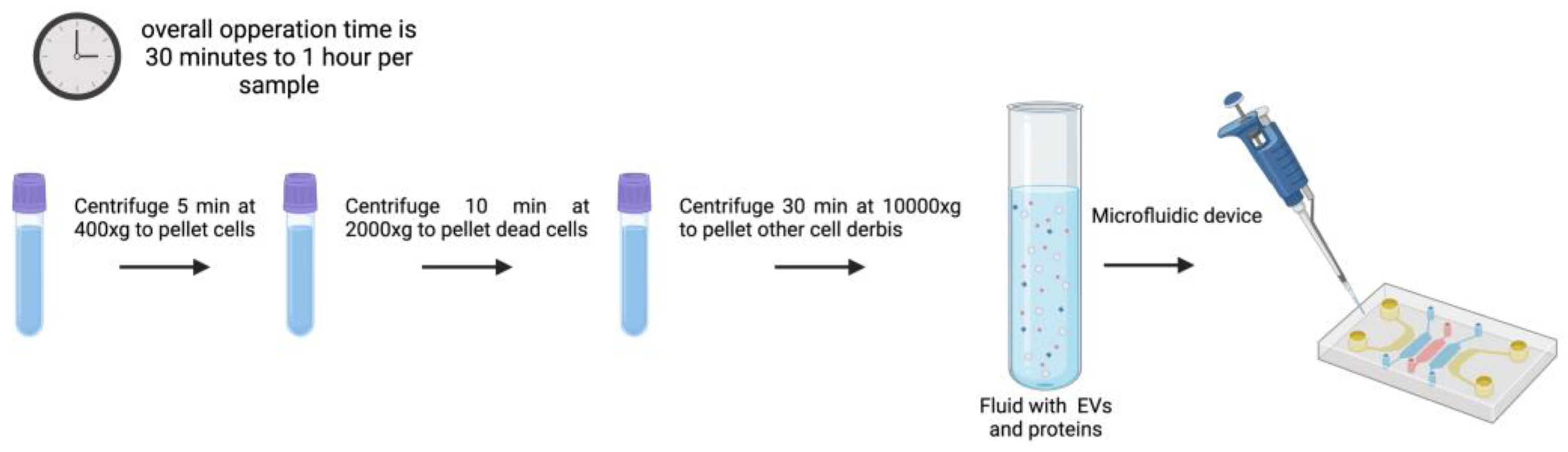 Preprints 148120 g008