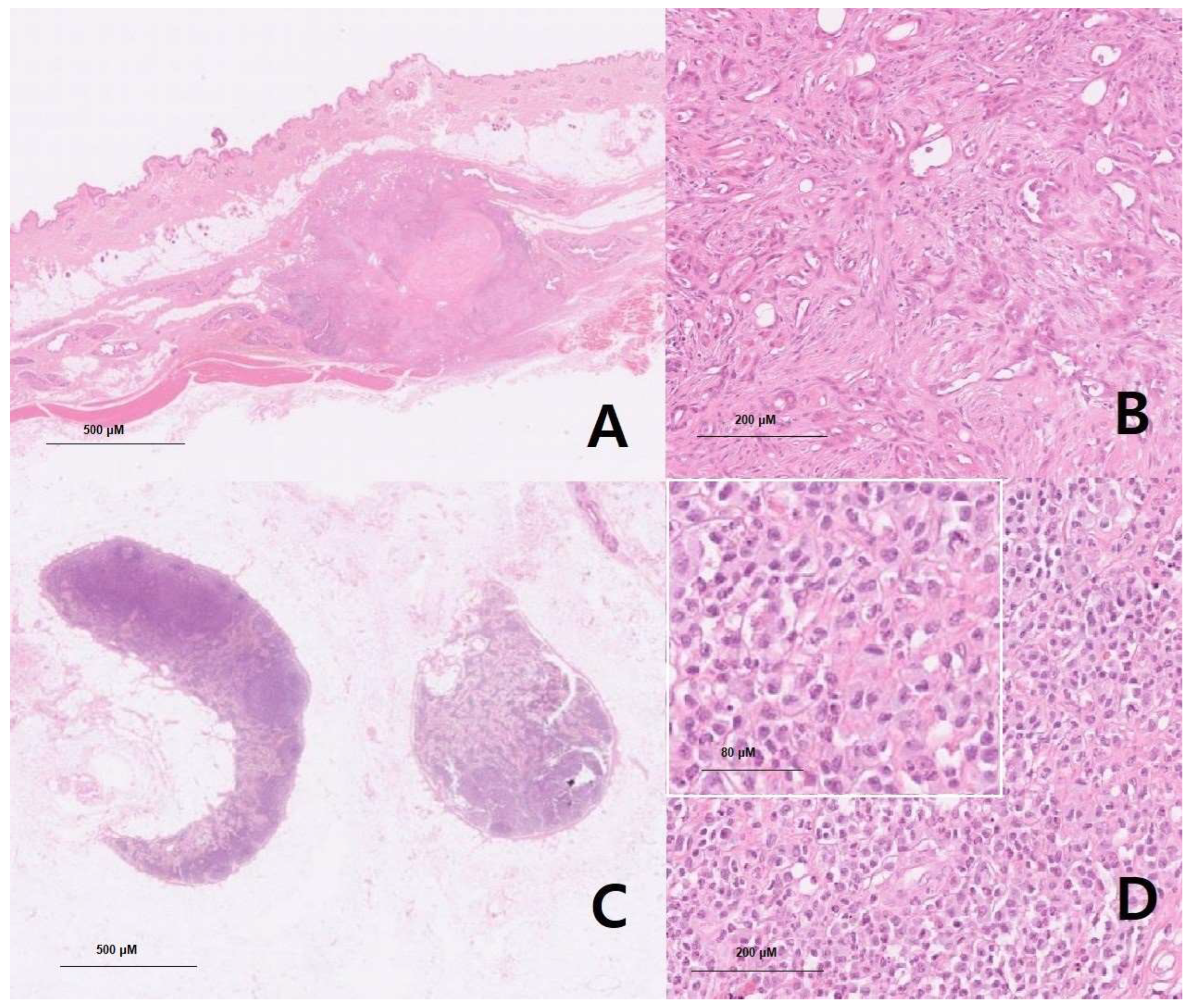 Preprints 159979 g001