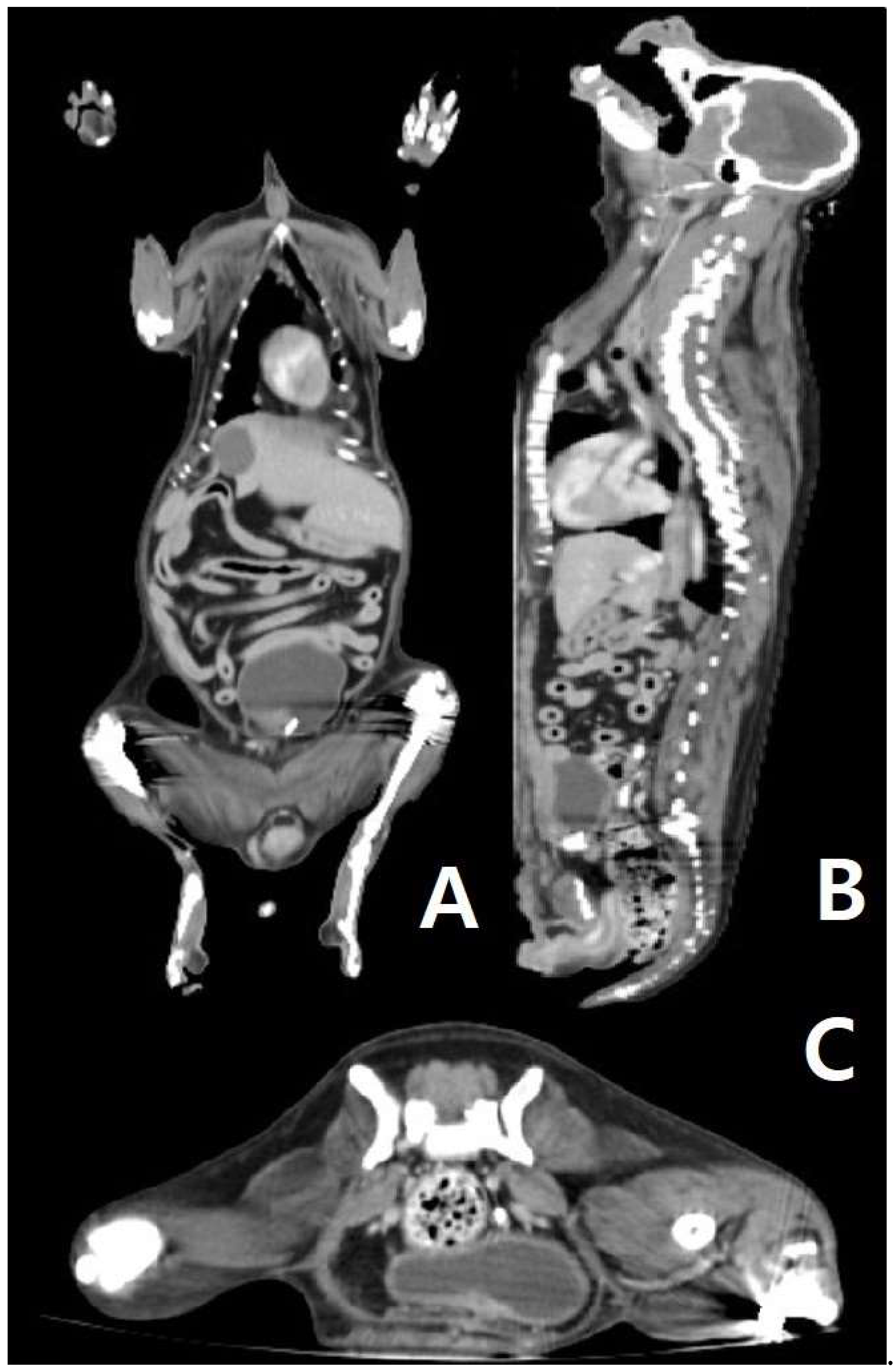 Preprints 159979 g002