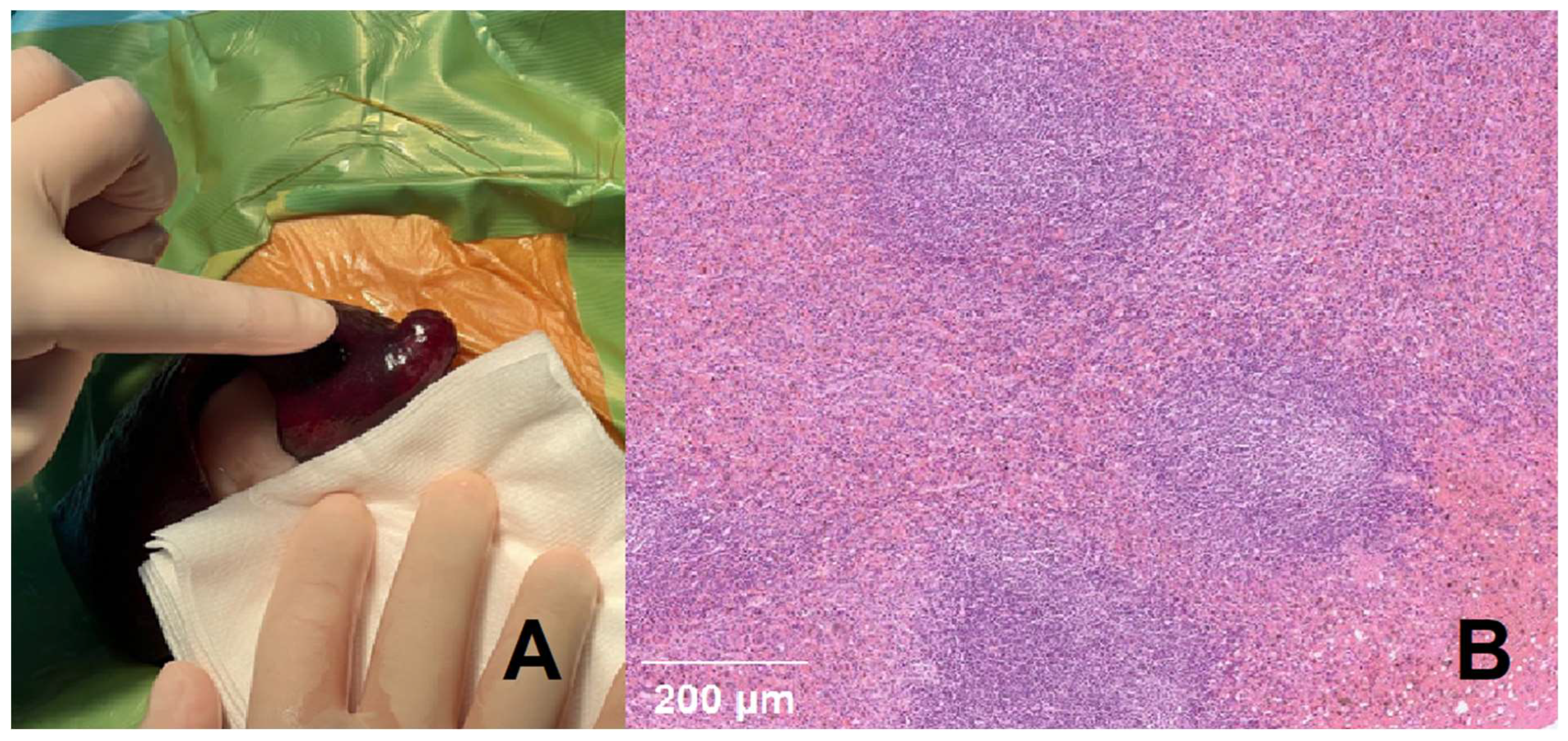 Preprints 159979 g0a2