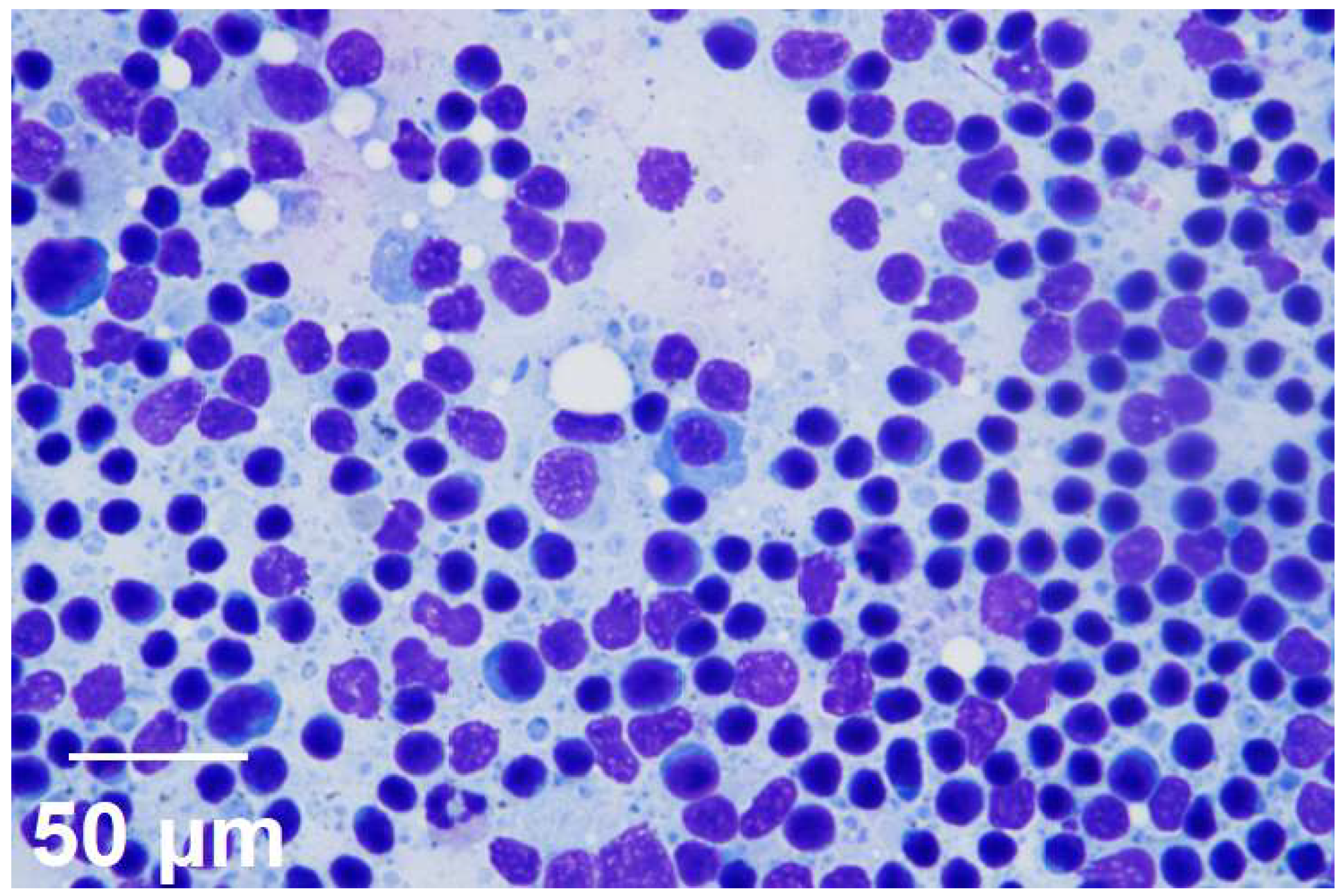 Preprints 159979 g0a3