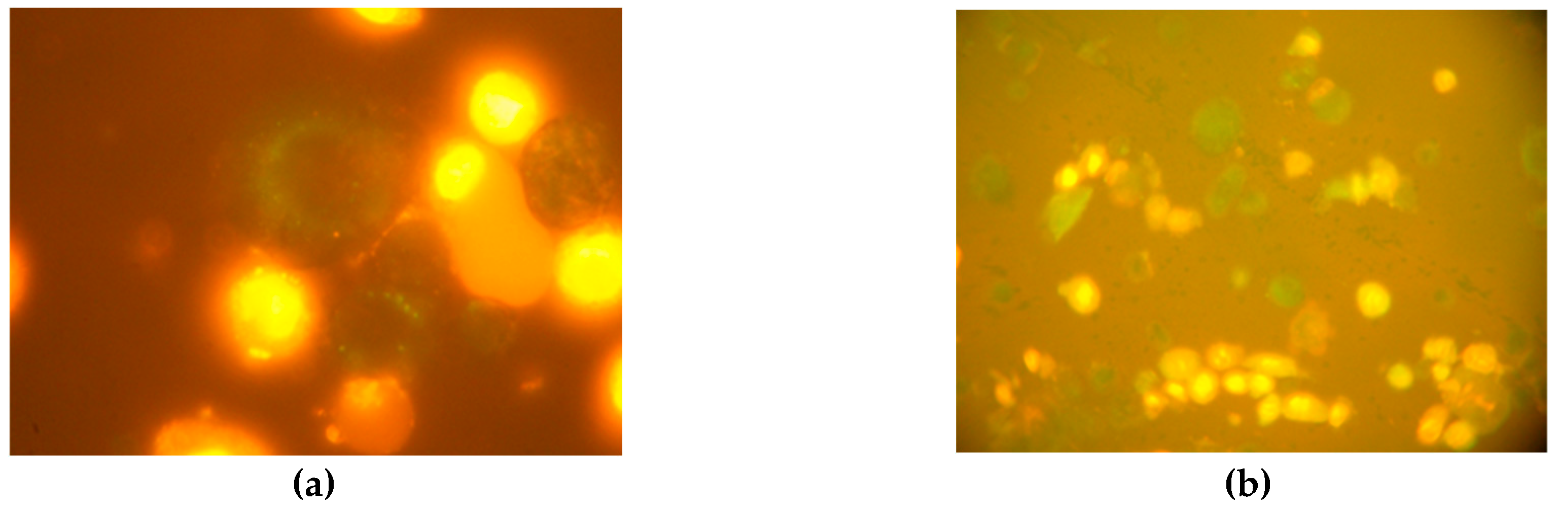 Preprints 205236 g004 Preprints 205236 g004