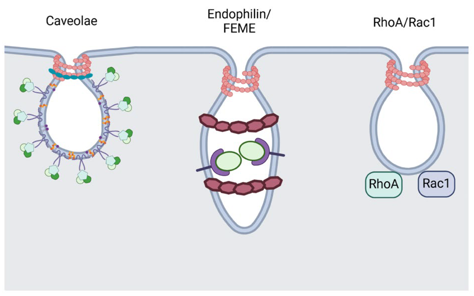 Preprints 154750 g001