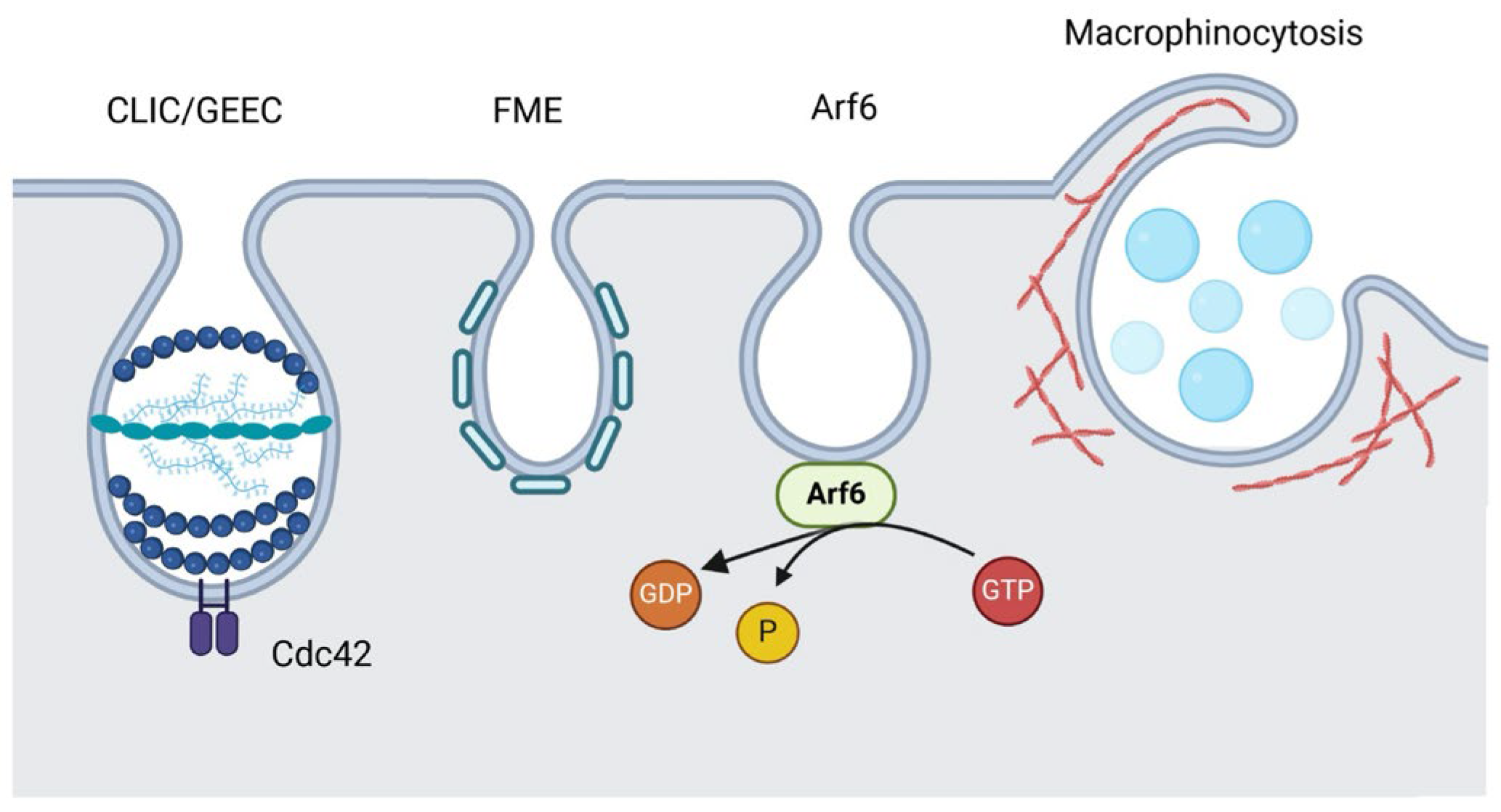 Preprints 154750 g002