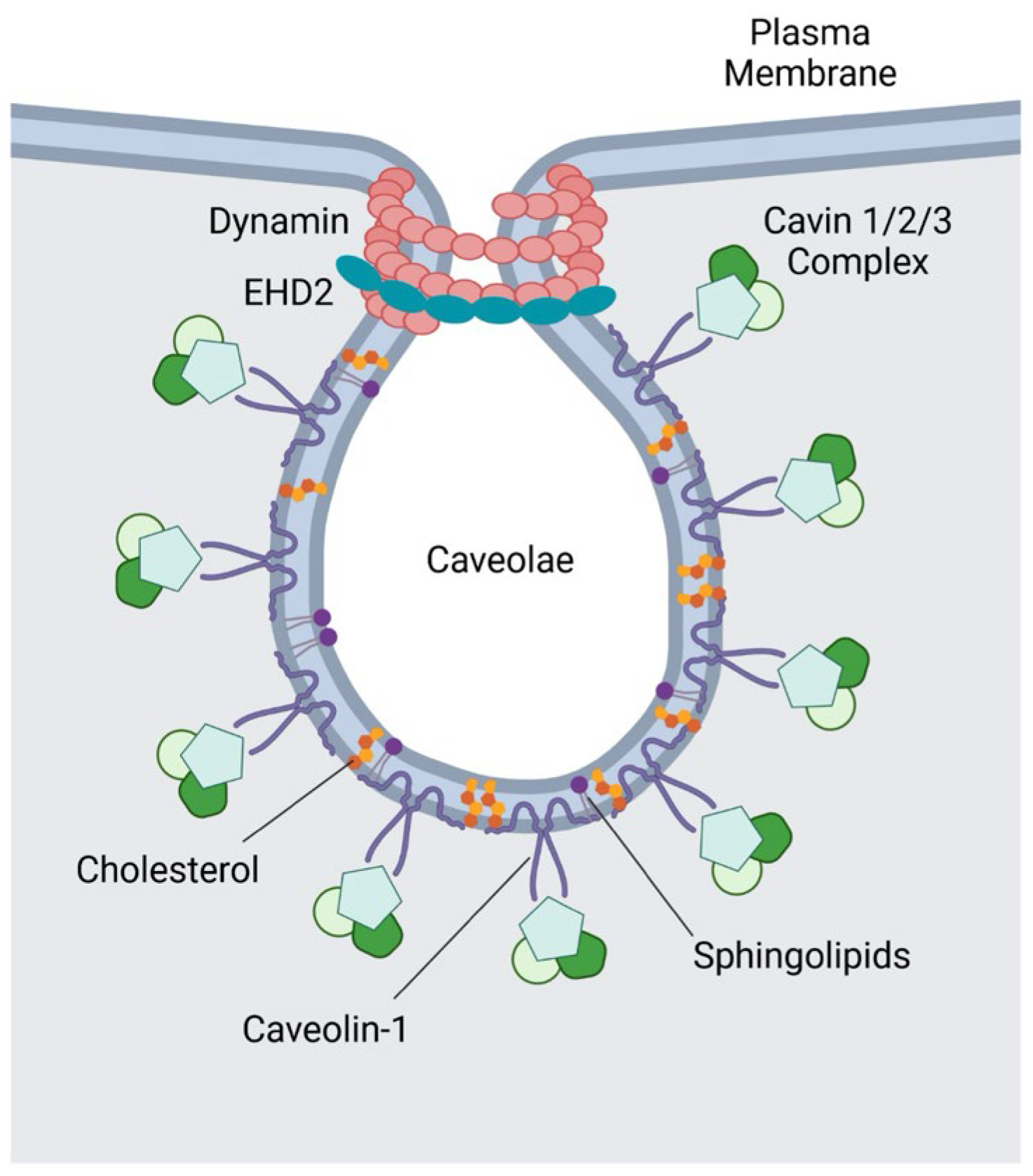 Preprints 154750 g003