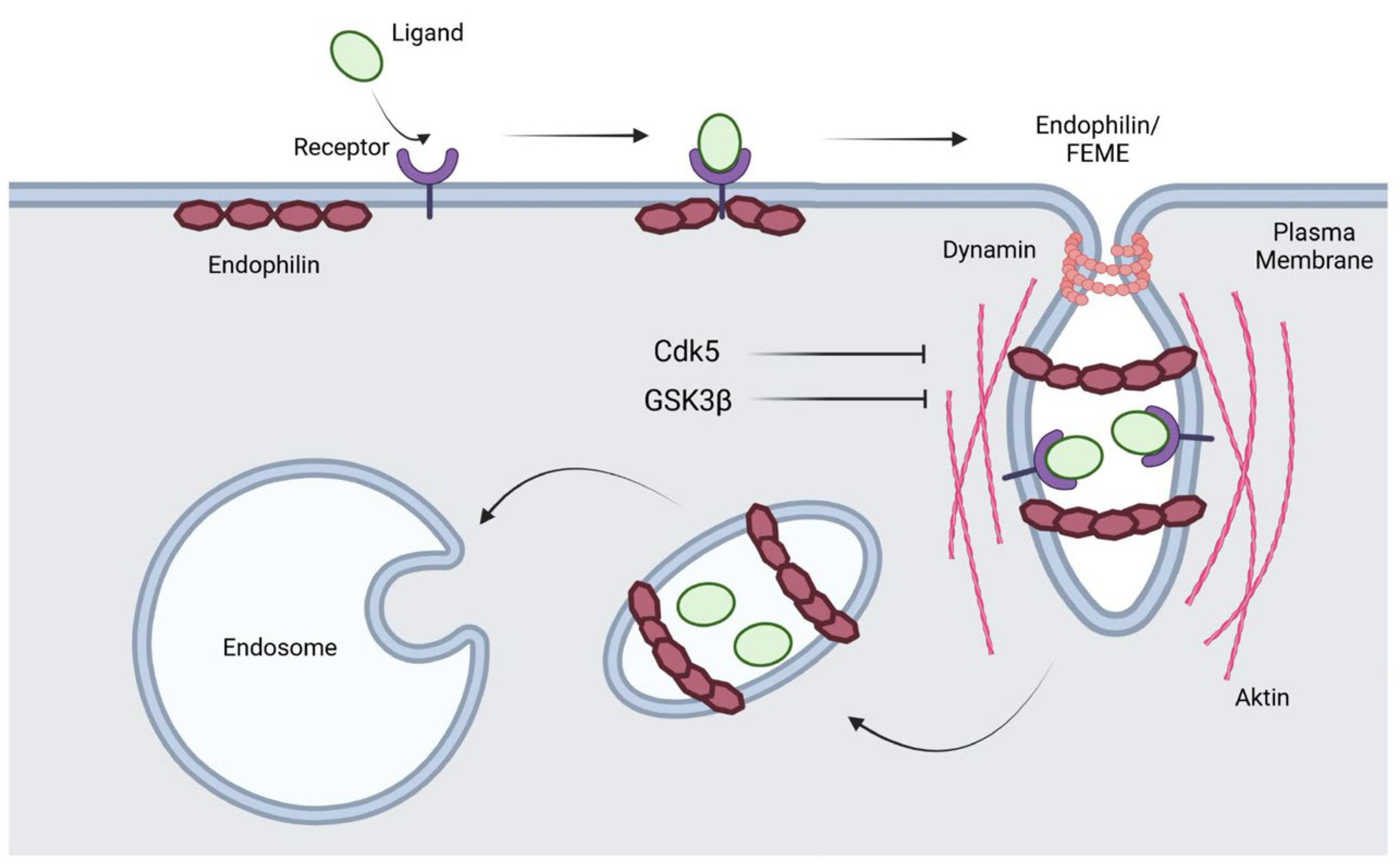 Preprints 154750 g004