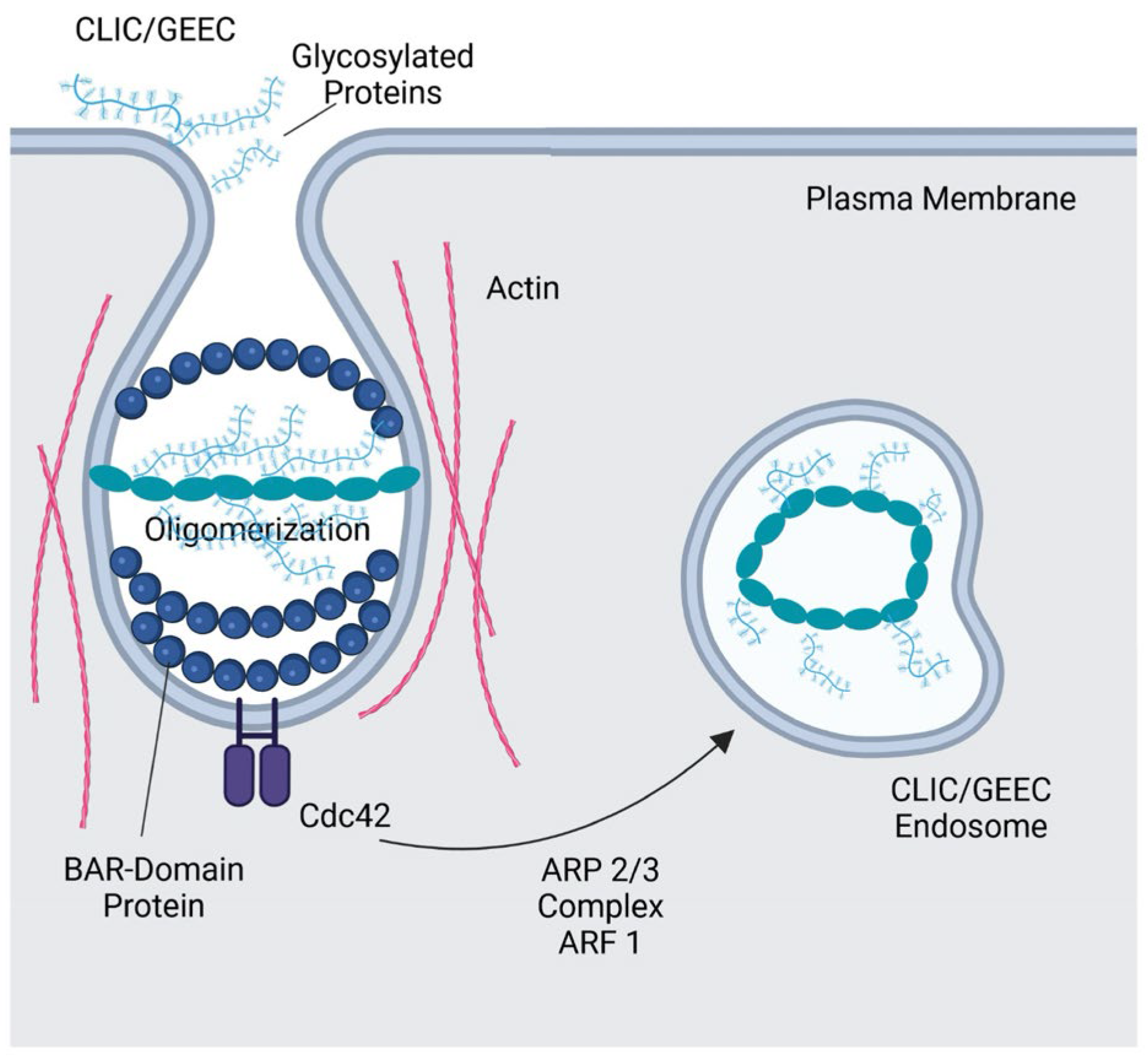 Preprints 154750 g005
