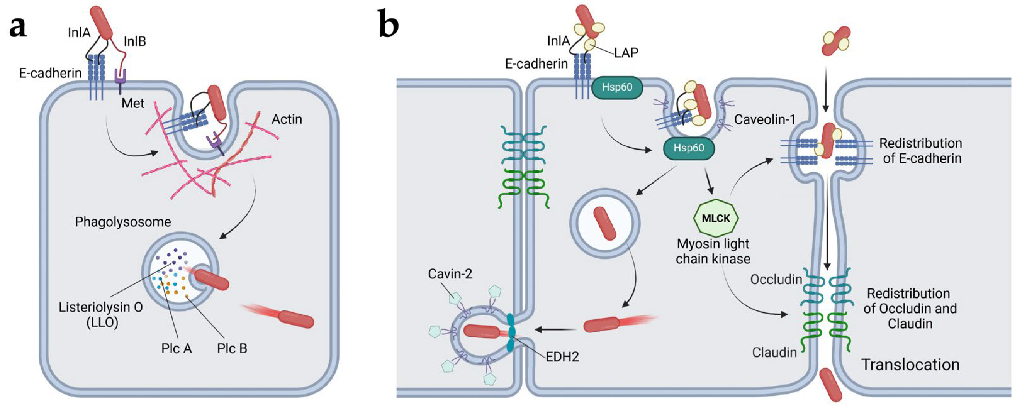 Preprints 154750 g006