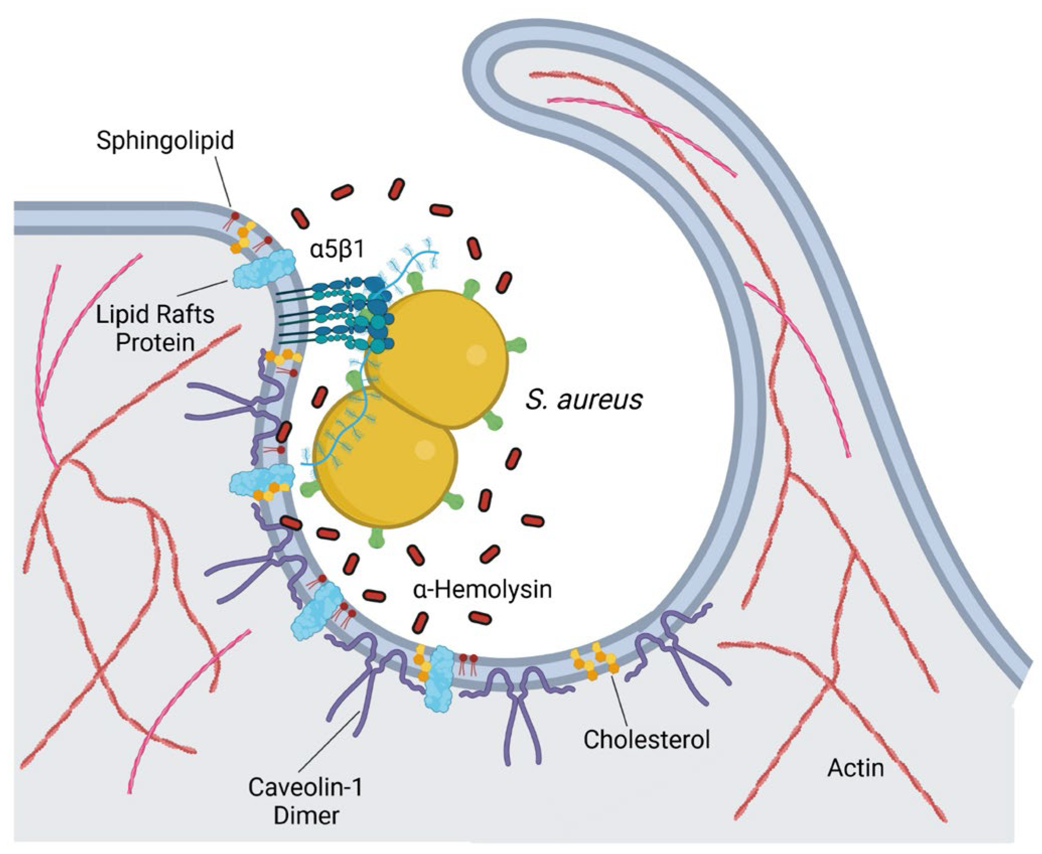 Preprints 154750 g008