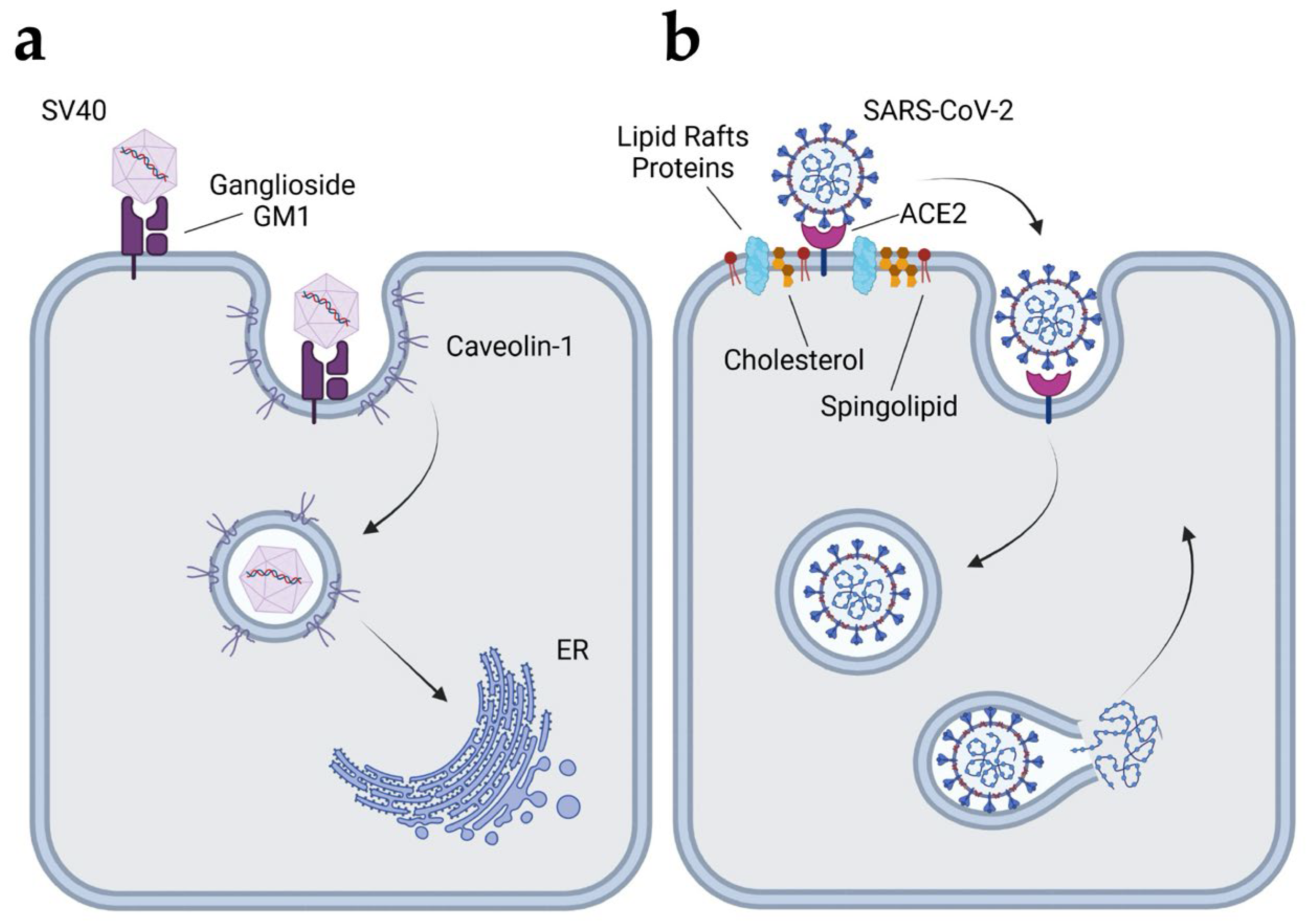 Preprints 154750 g009