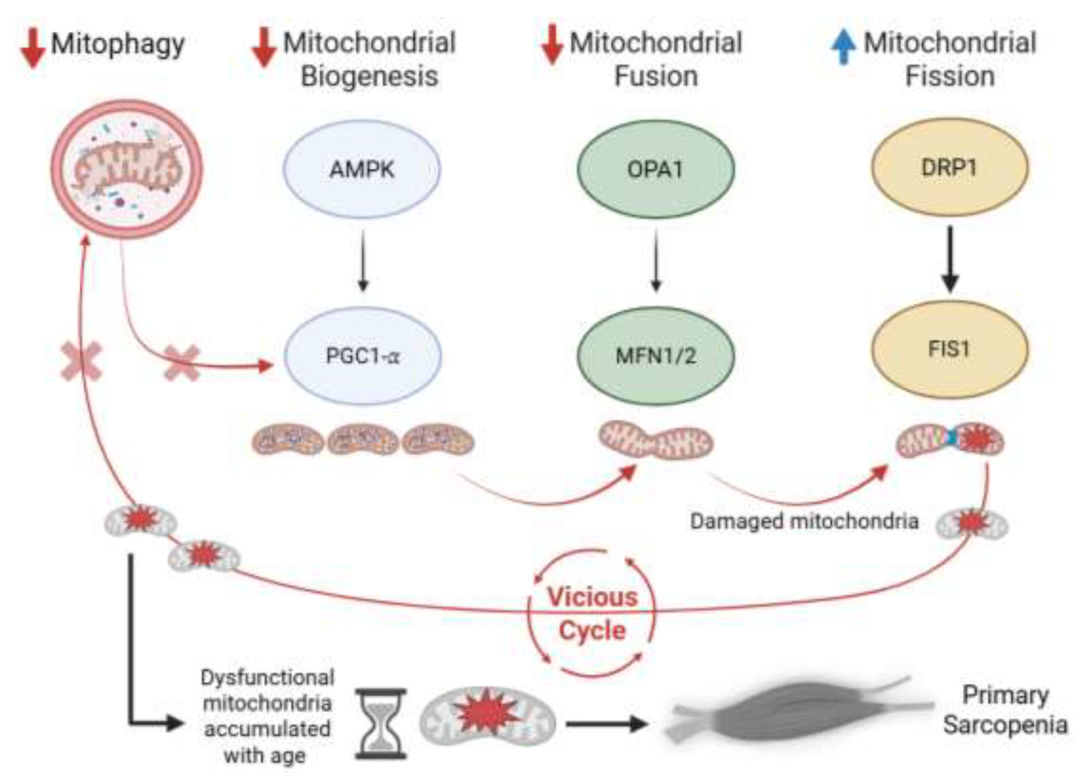 Preprints 197024 g001