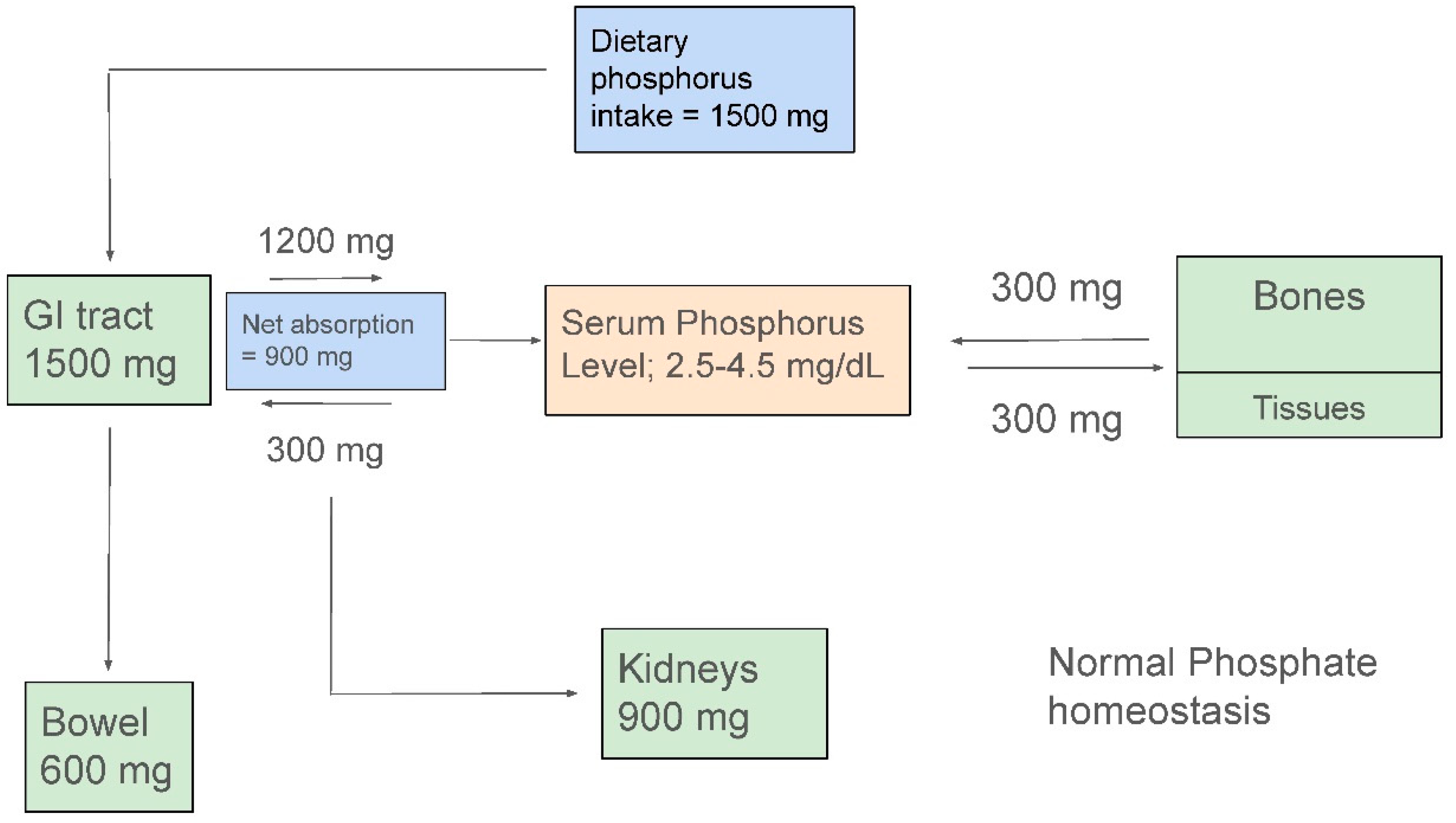 Preprints 153921 g001