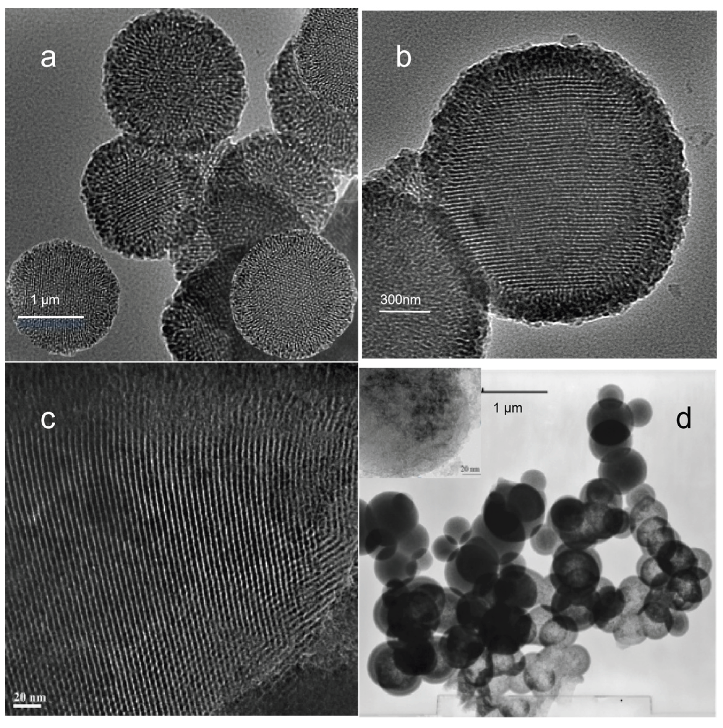 Preprints 206331 g003