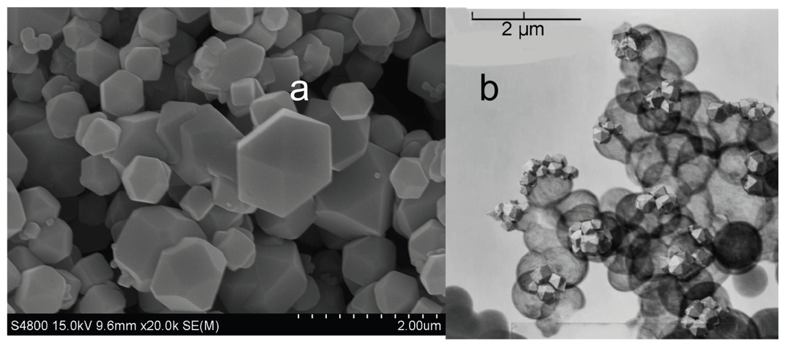 Preprints 206331 g005