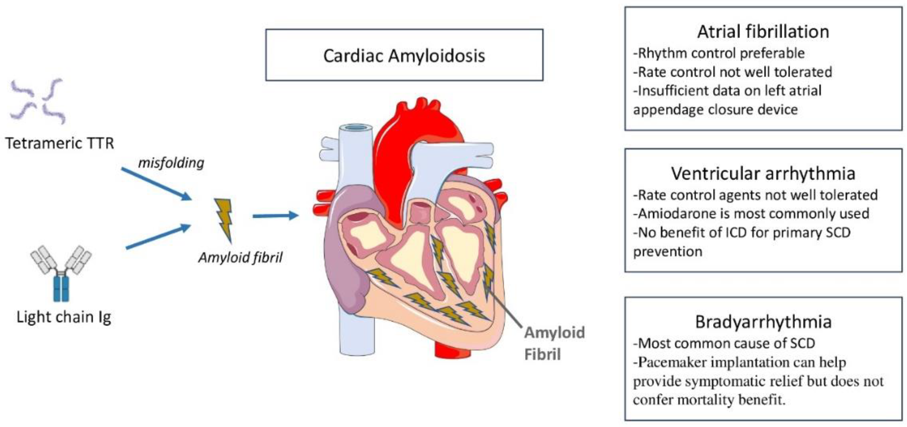 Preprints 96488 g001