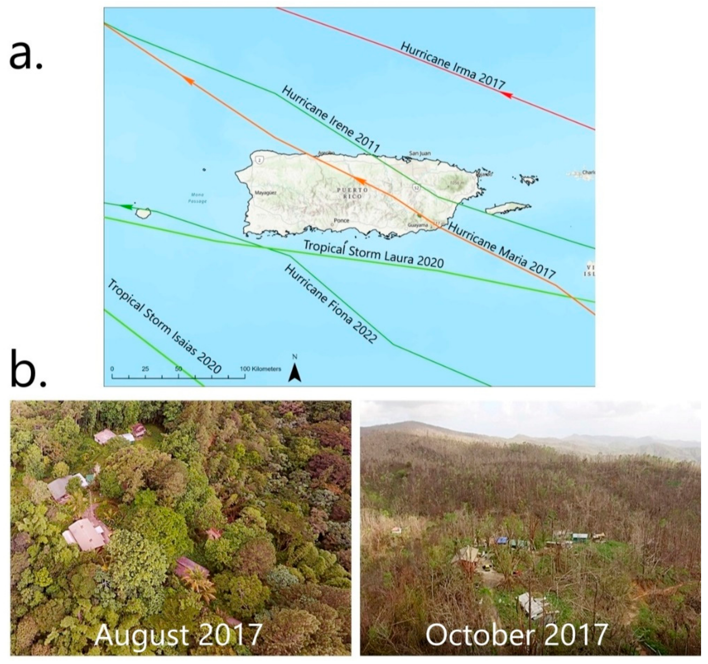 Preprints 159010 g002