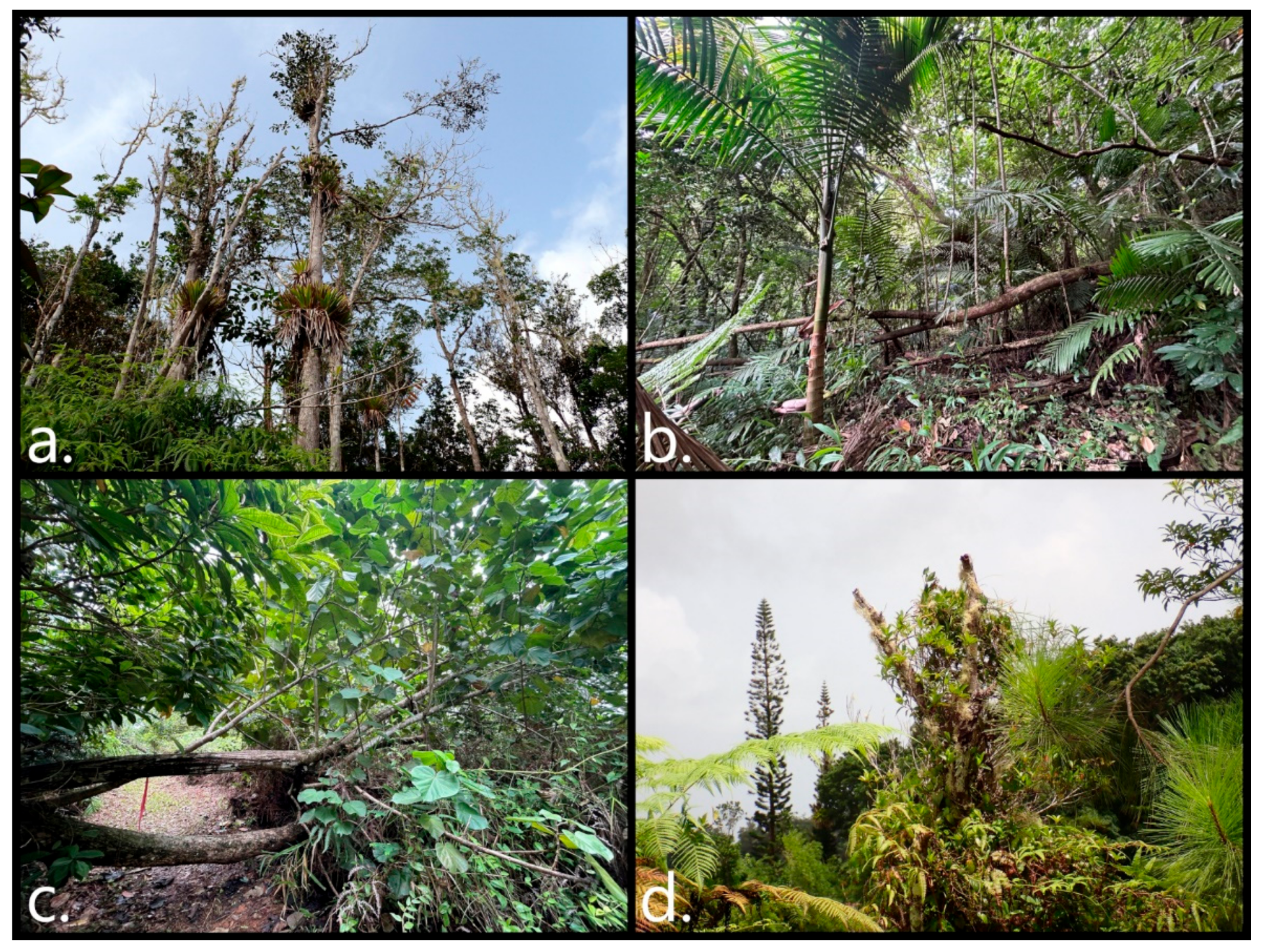 Preprints 159010 g003