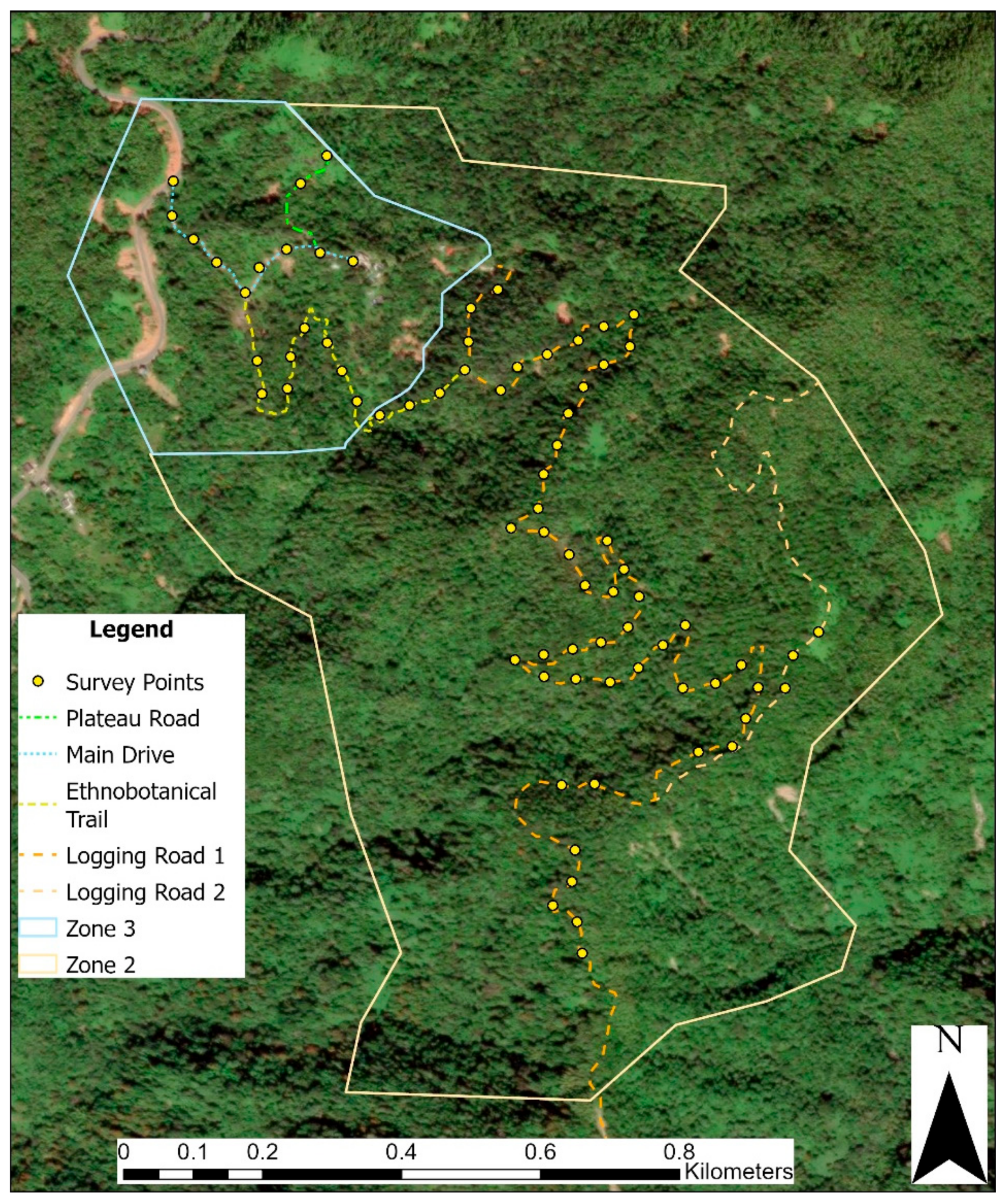 Preprints 159010 g004