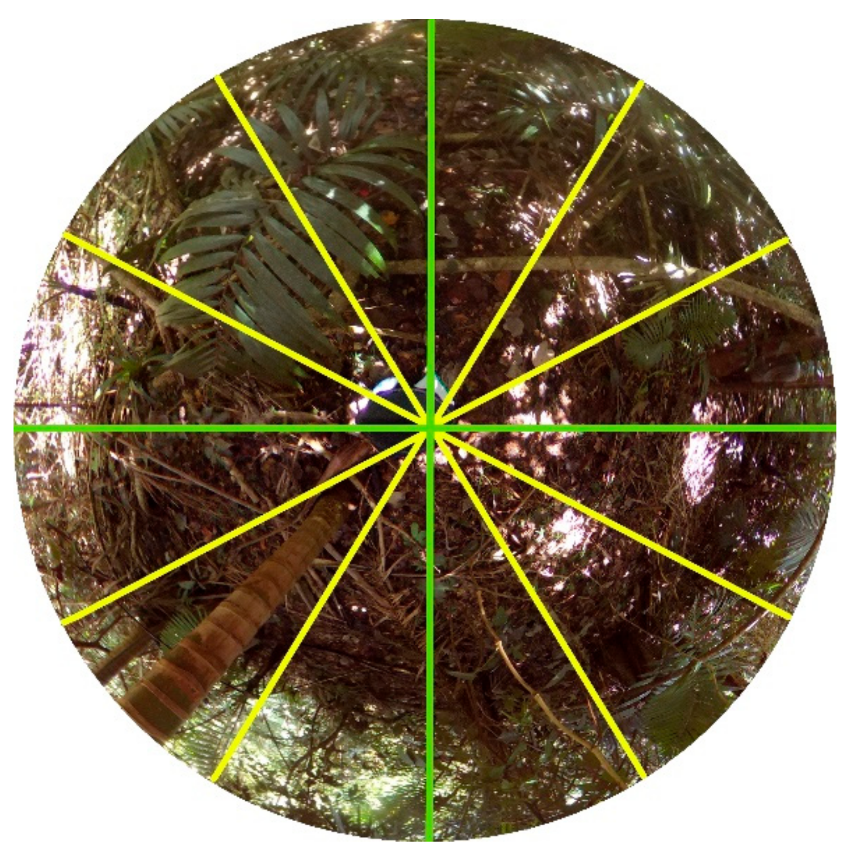 Preprints 159010 g008