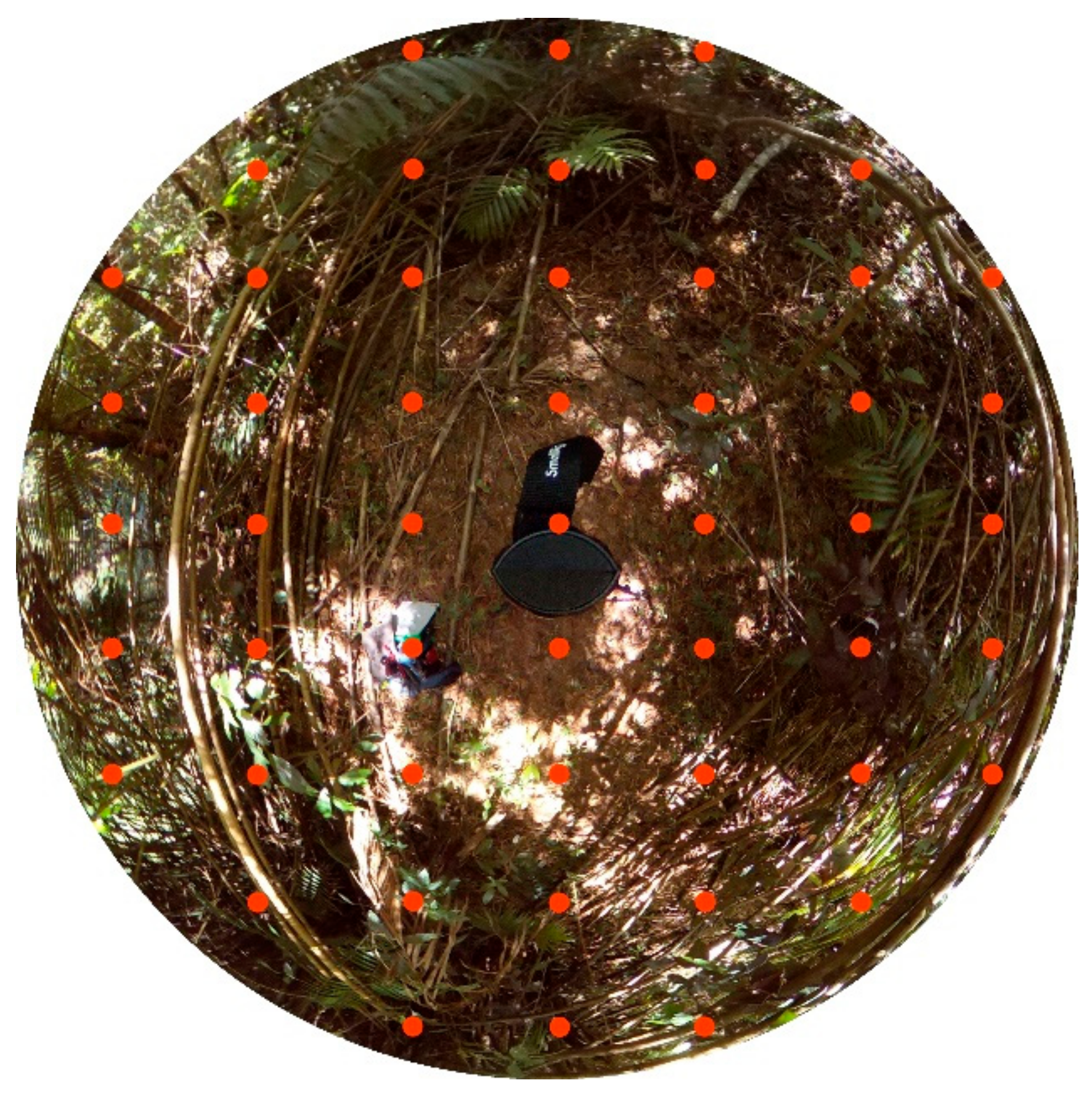 Preprints 159010 g009